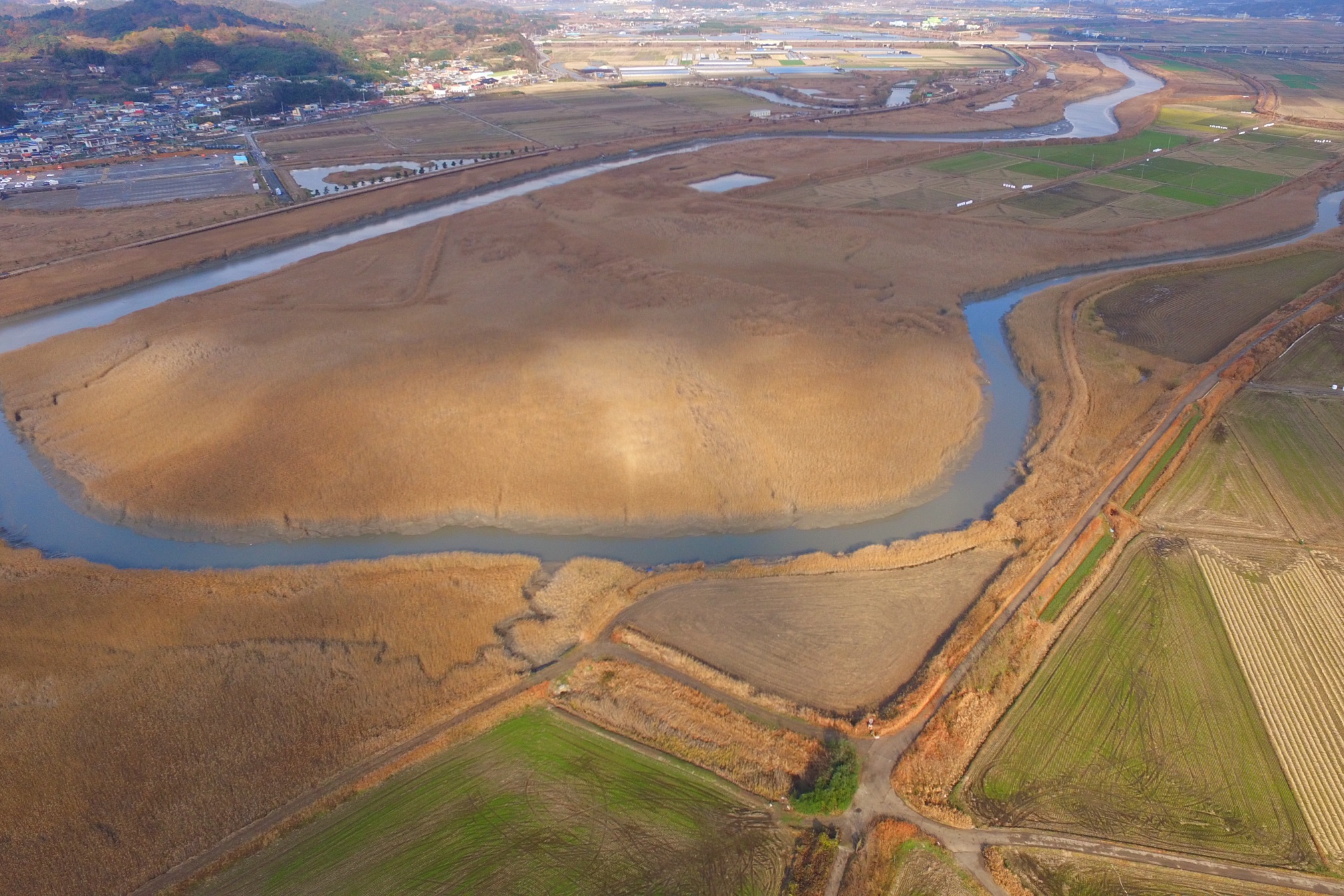 Dongcheon river and rice paddies, north from the mouth of Dongcheon Estuary