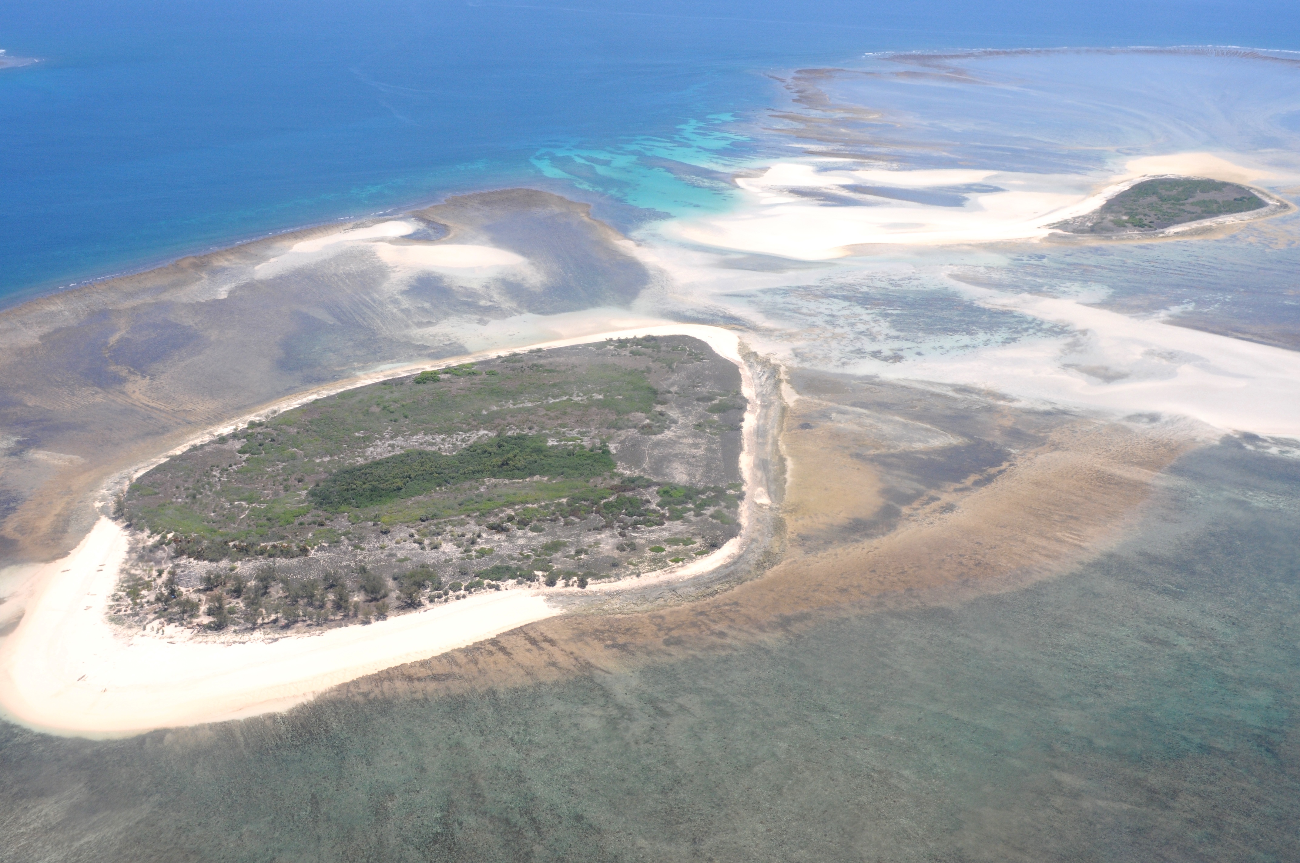 Quelques uns des iles Barren