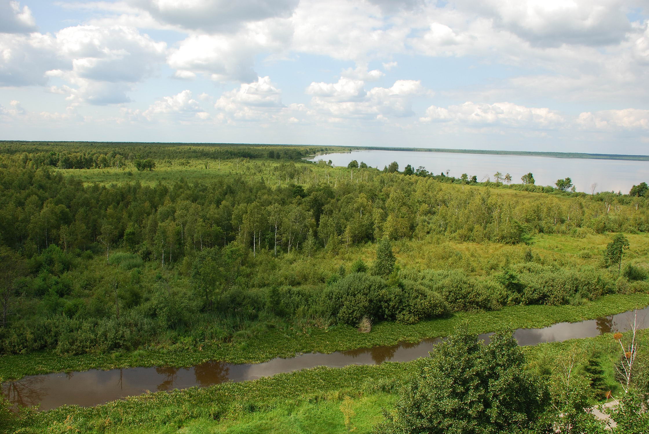 Lake Vygonoshchanskoye surrounded by transitional and fen mires