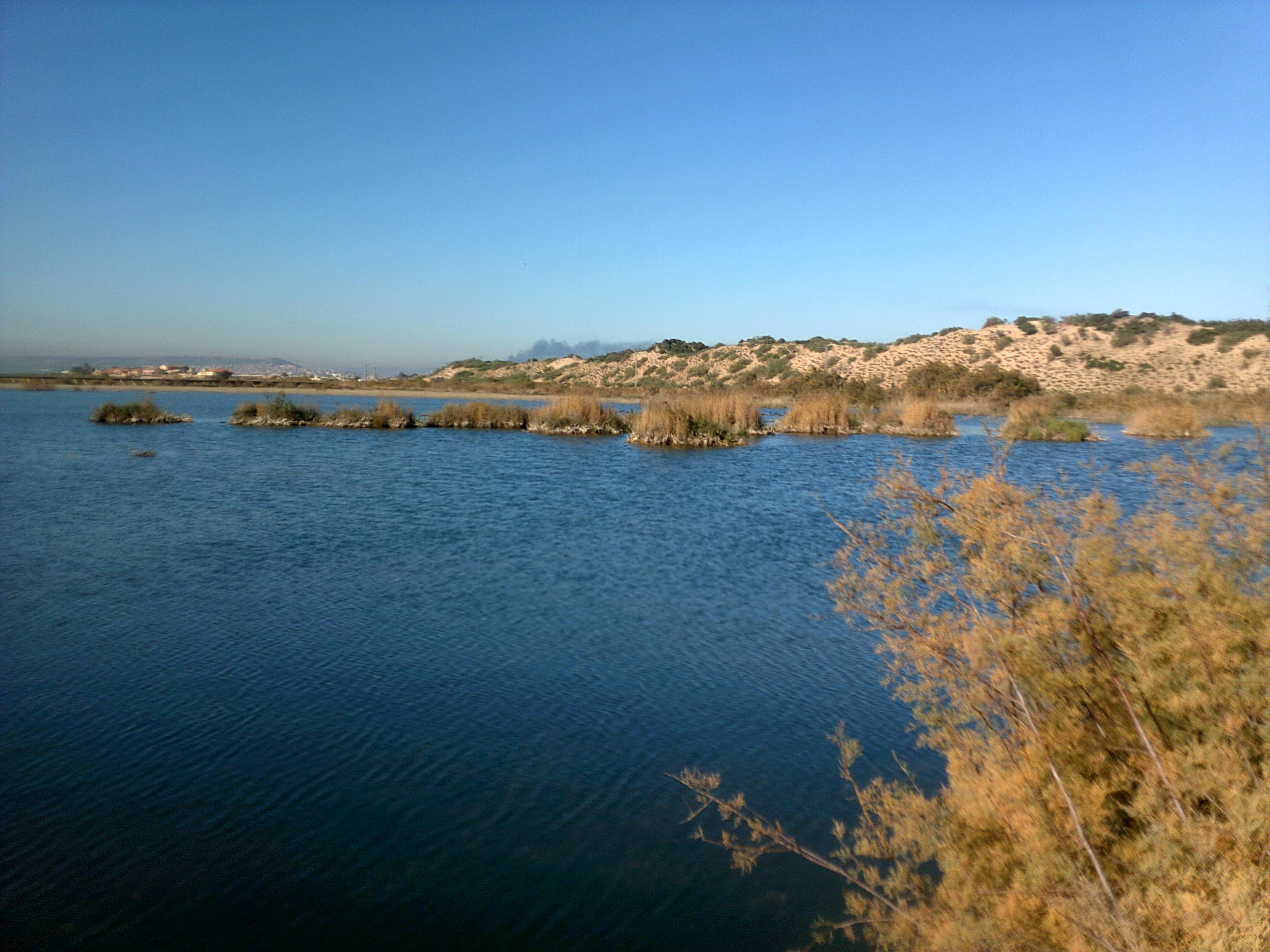 Marais de la Macta