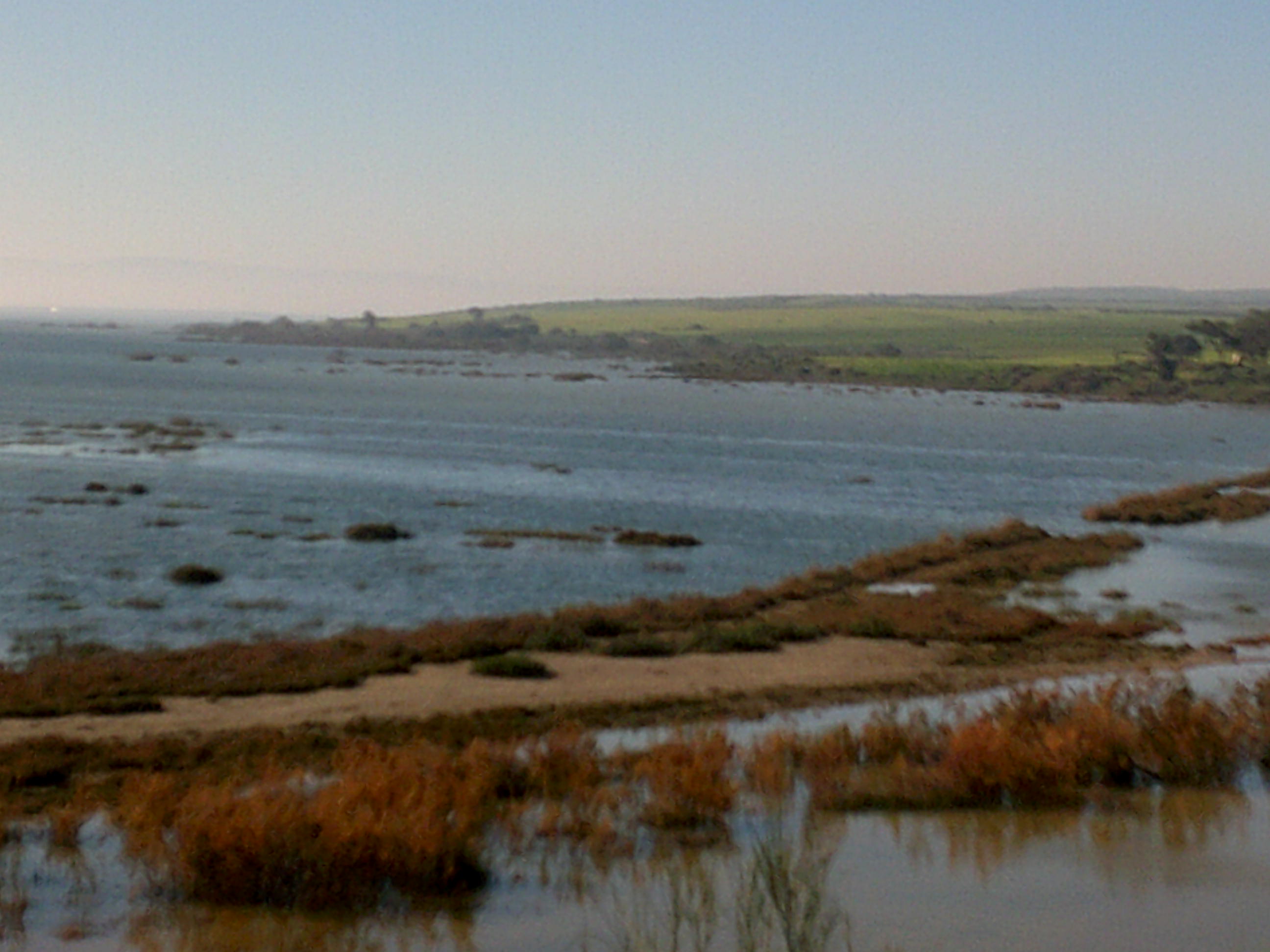 Marais de la Macta