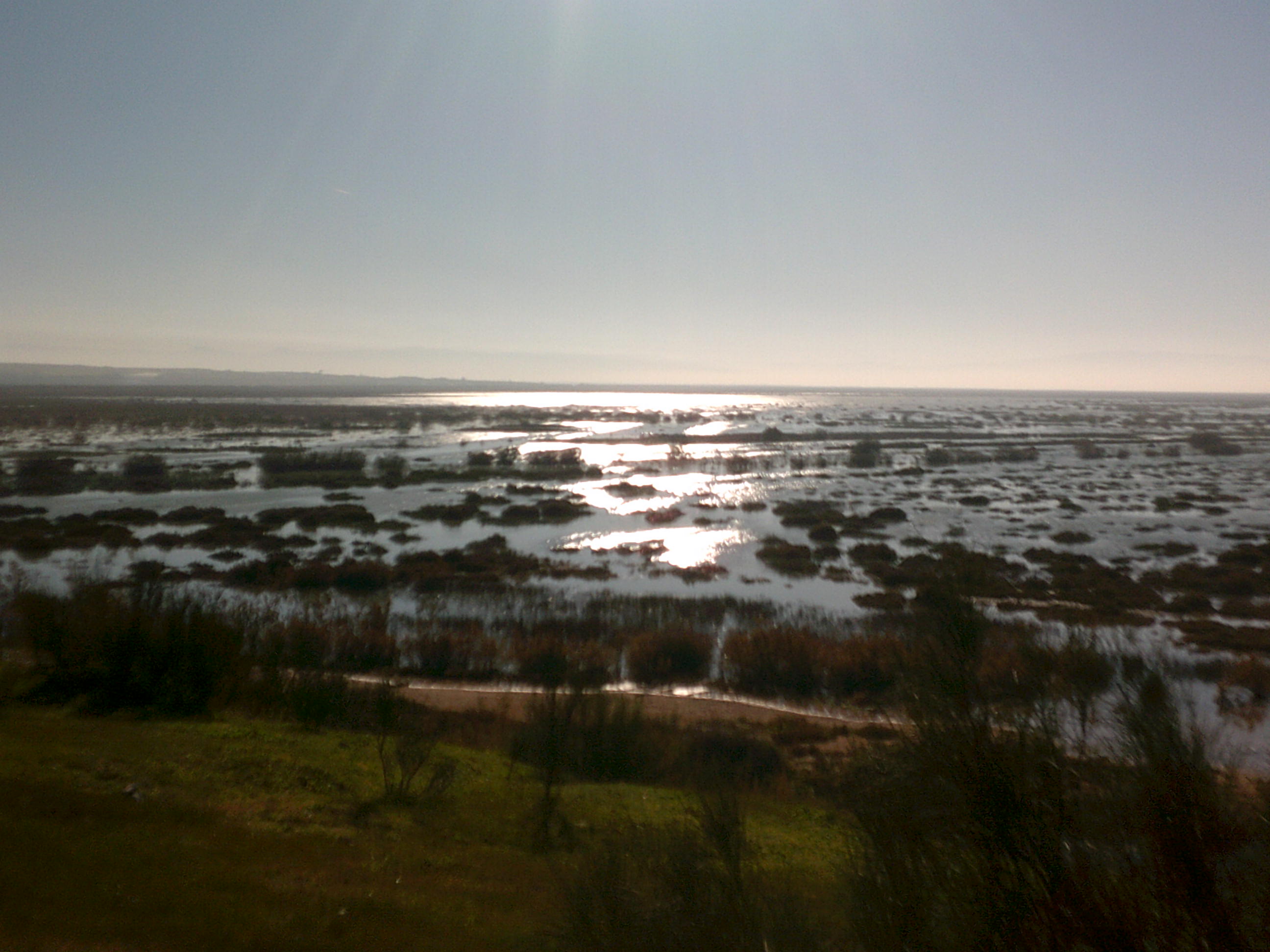 Marais de la Macta