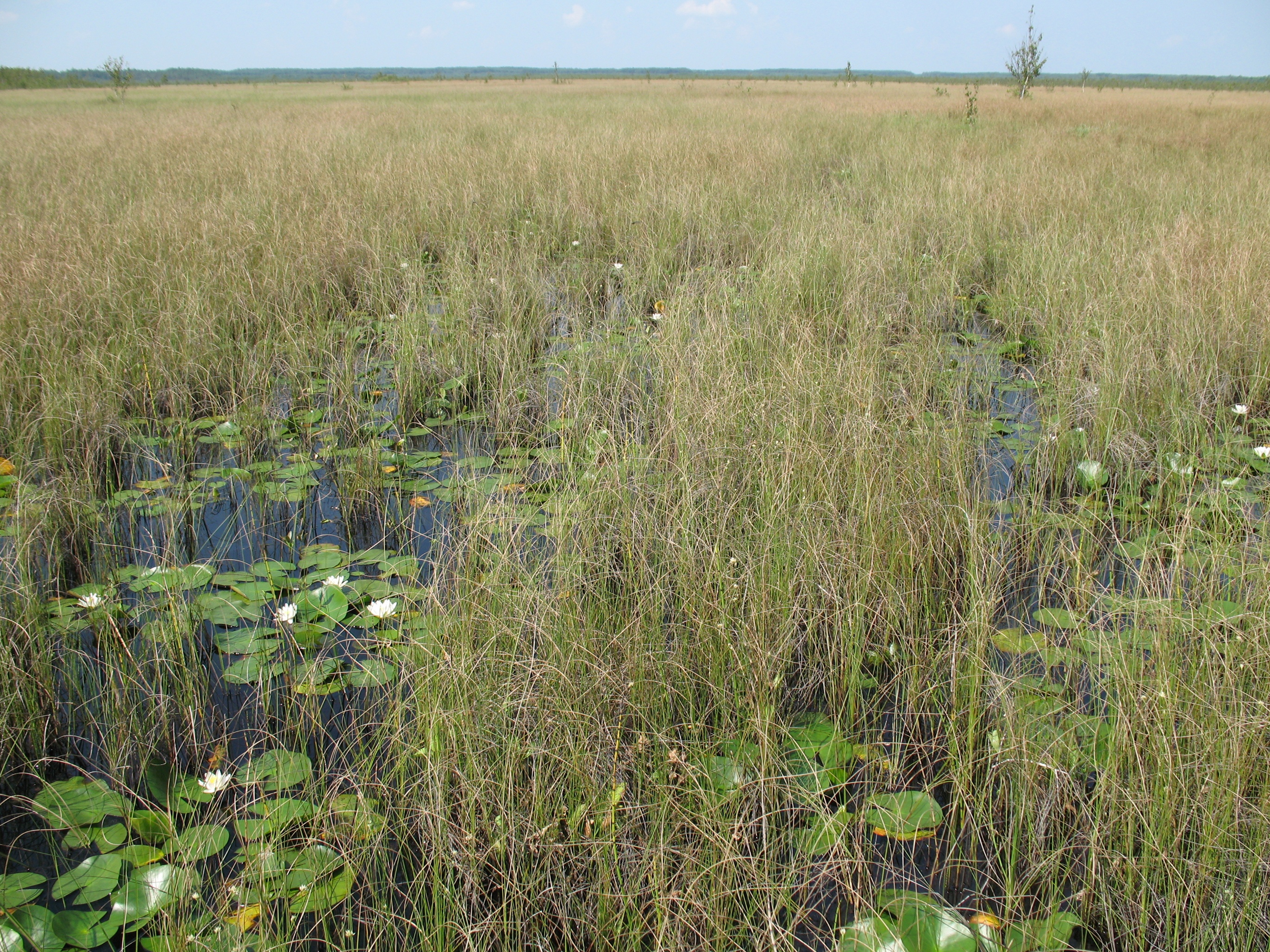 Morochno Ramsar Site