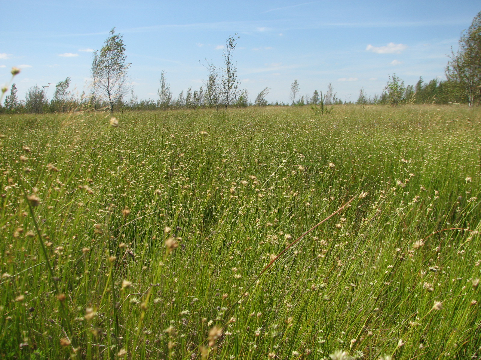 Morochno Ramsar Site