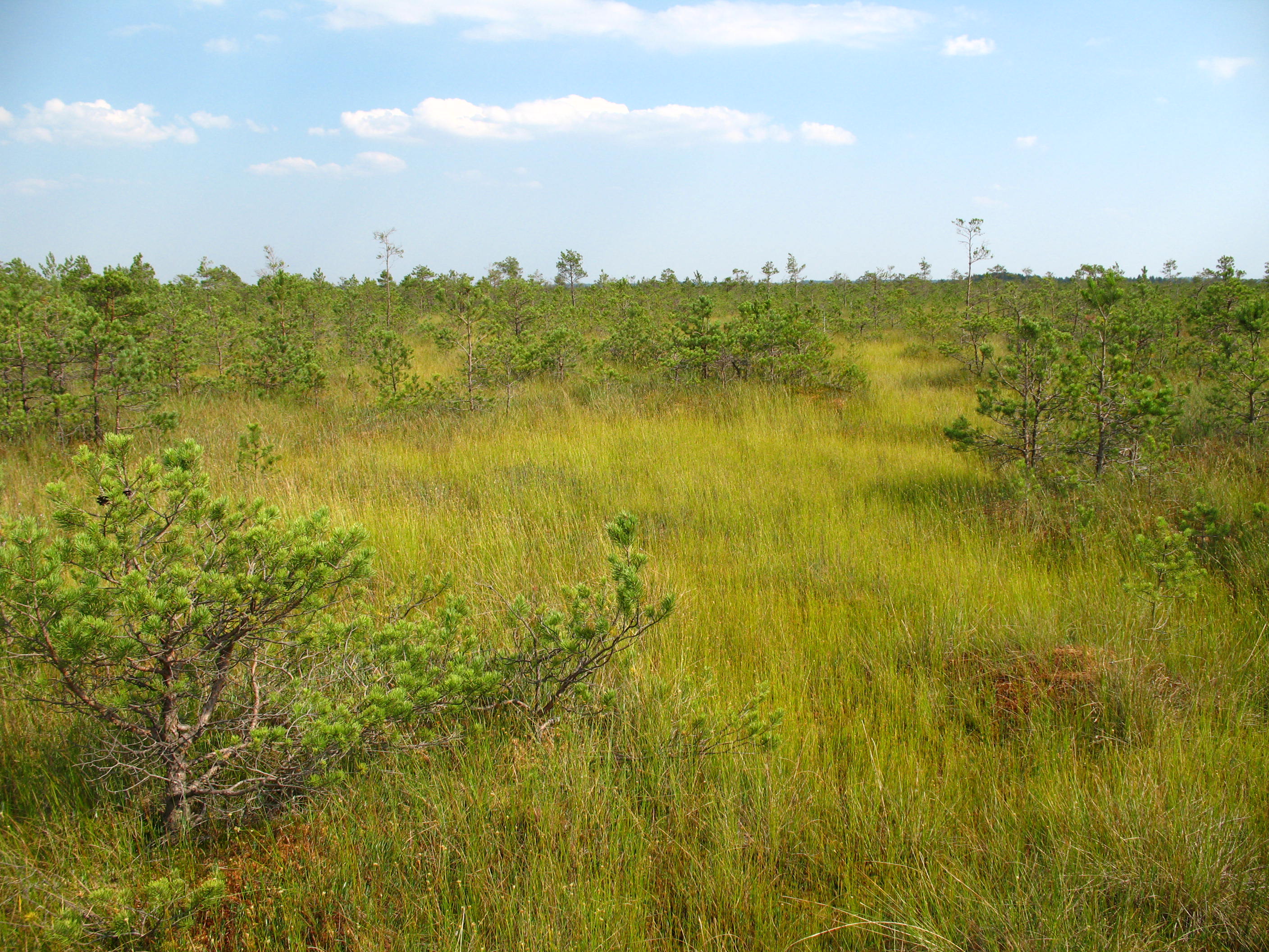 Morochno Ramsar Site