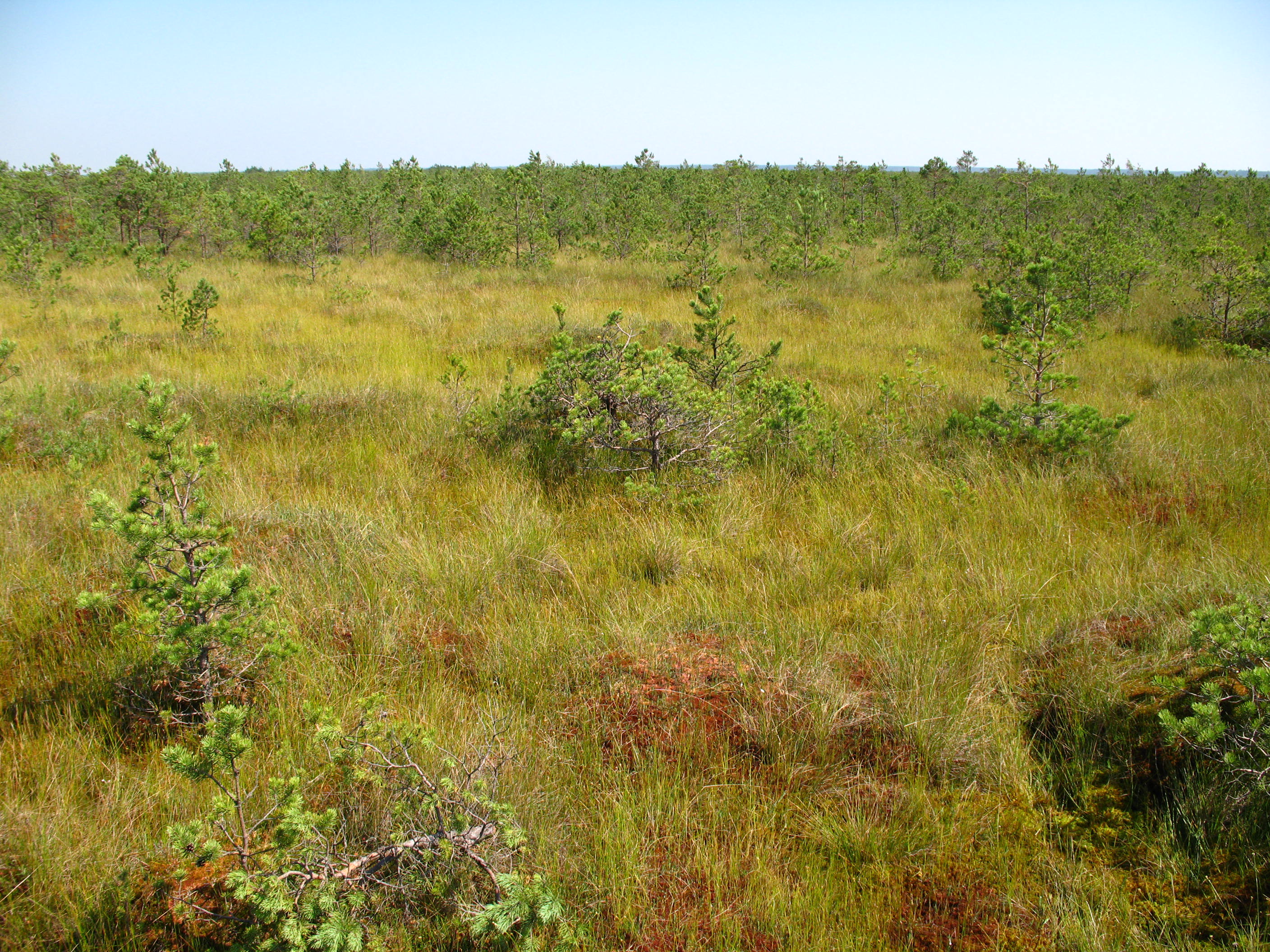 Morochno Ramsar Site