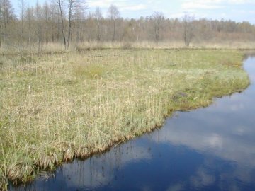 Since the abandonment of traditional agriculture in the floodplain of the slow-flowing Kotra river, vegetation succession is slowly closing the former open areas. Thus, management measures are urgently needed. 