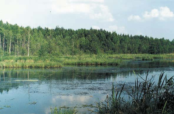 Siline/Klevitsa site: landscape.