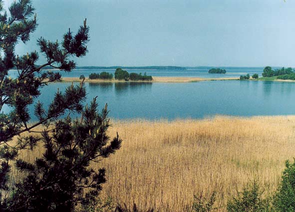 Lake Druksiai/Drisvyaty