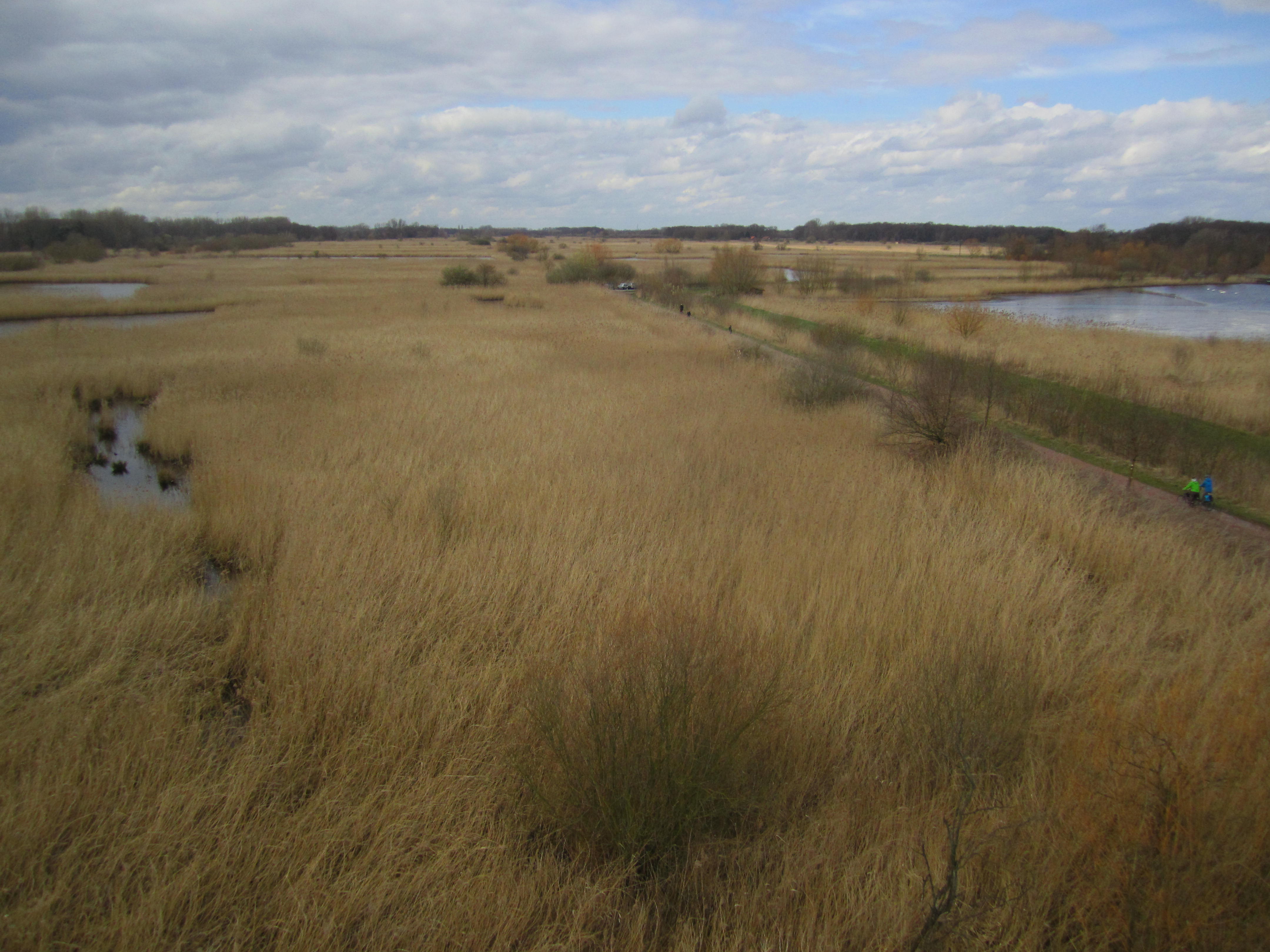 Rieselfelder Münster, view from the south of the SPA towards the Ramsar site