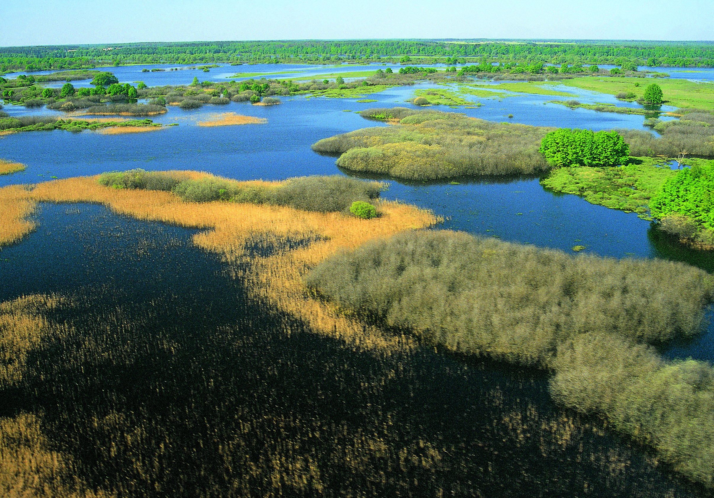 The territory is located in the interfluve of rivers Pripyat and Prostyr and annually is flooded during the spring for about 3 month.