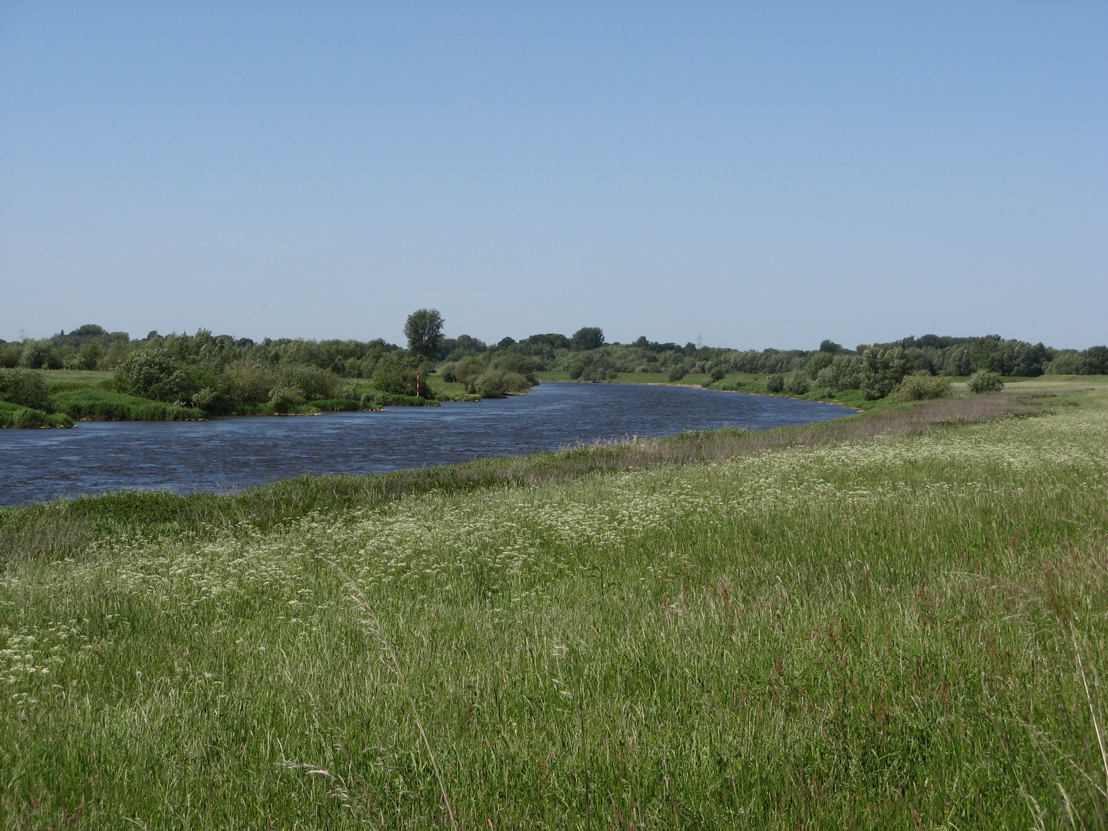 Weser near Hävern/Windheim