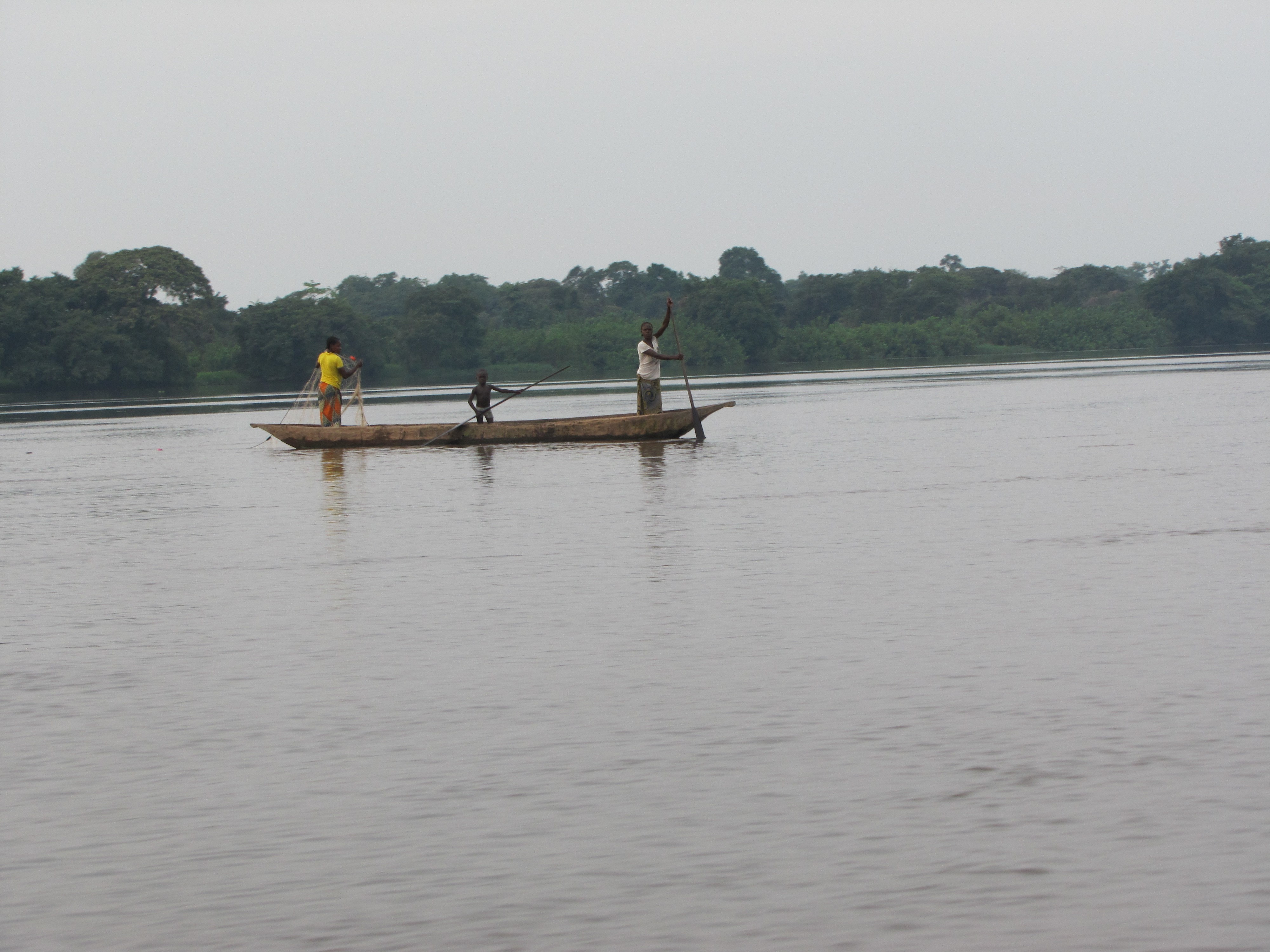 Partie de pêche au filet dérivant exercée par les femmes sur le fleuve Congo à Konzolo (Mossaka)