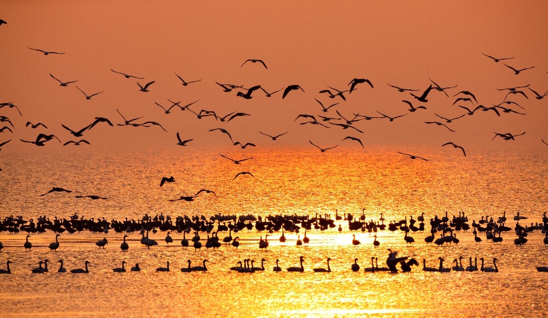 The evening scene of Wanghu