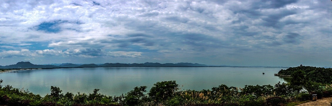 Summer scenery of Wanghu 