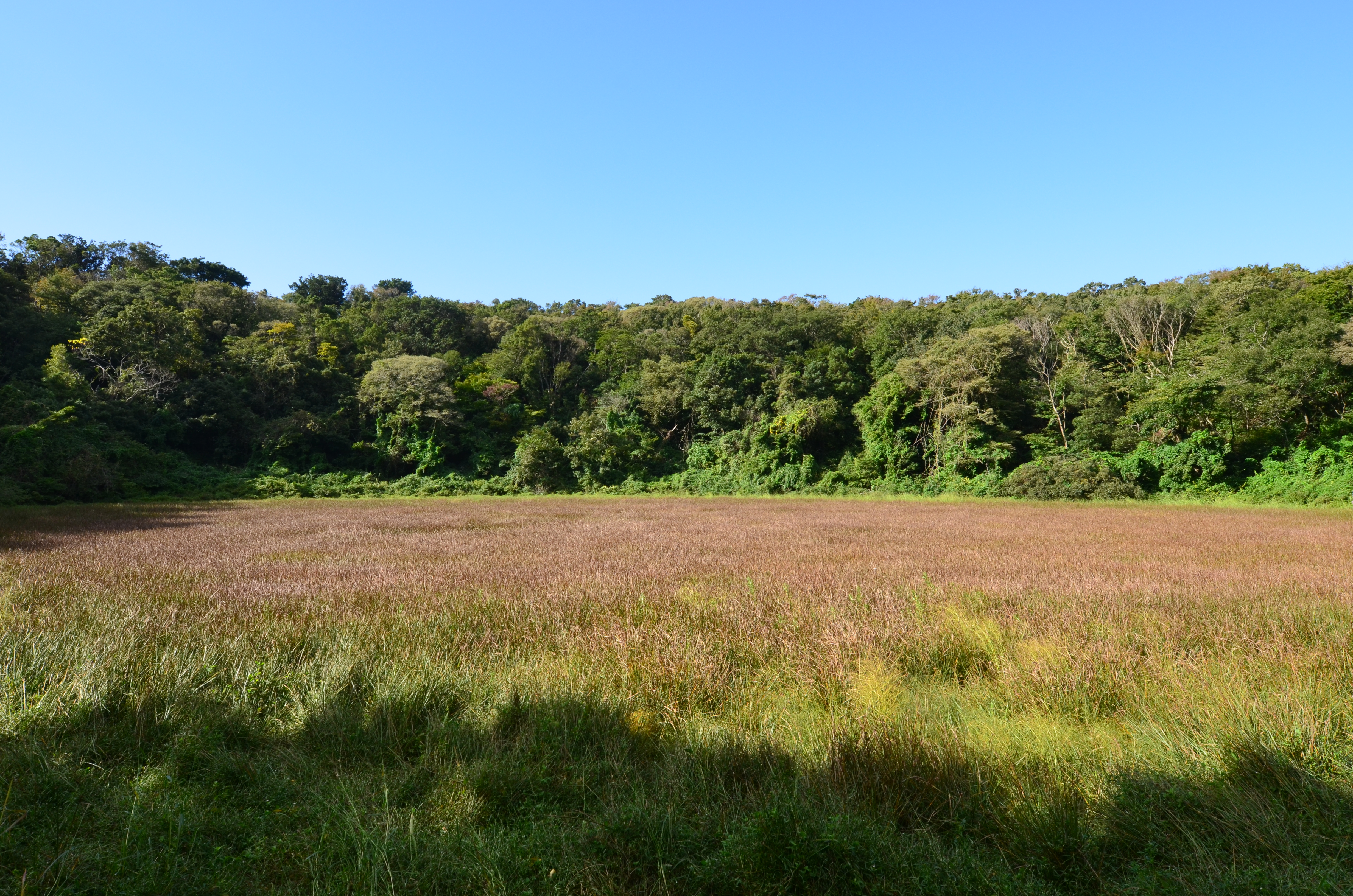 Landscape of Mulyeongari-oreum