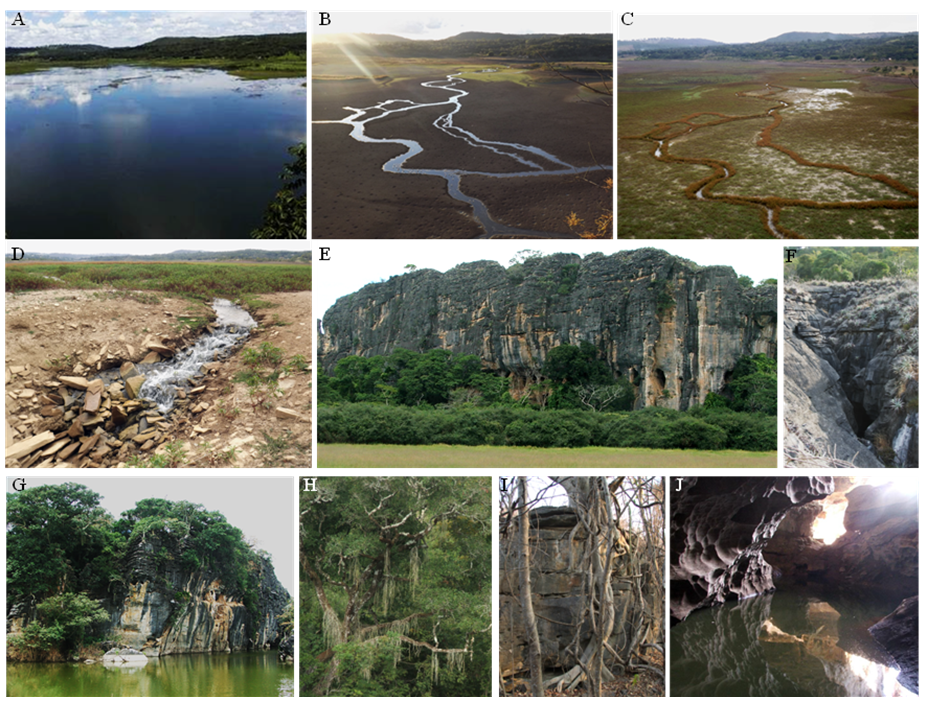 A, B, C) Sumidouro Lake in diferent seasons, D) sinkholes of the Sumidouro Lake, E) Limestone massif of the Cerca Grande State Park and archaeological site, F) Canyon in the Baú Cave limestone, G) Flooded doline in Cerca Grande, H) Lush forest, I) trunk and roots of a dry forest tree. J) Lapa Vermel