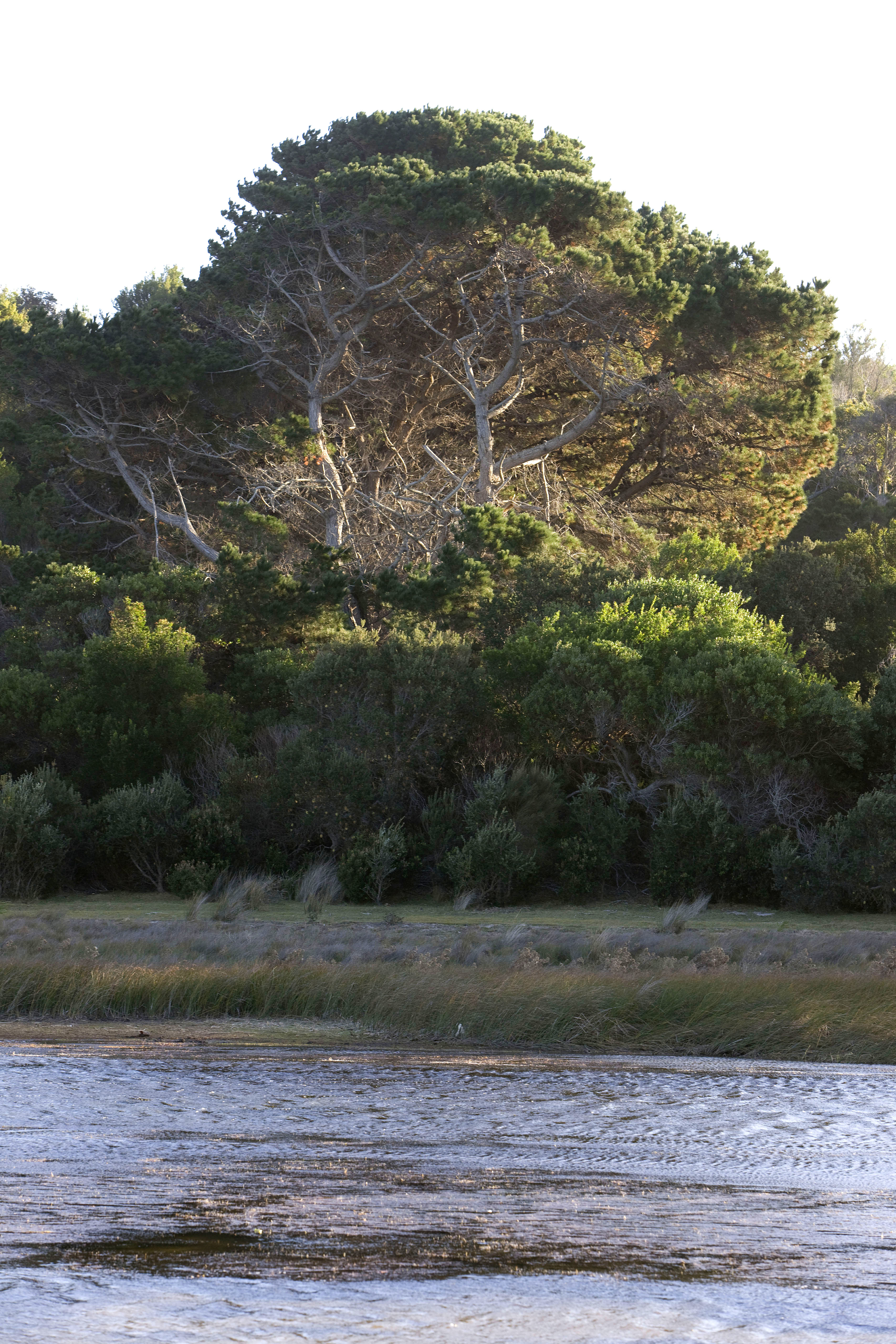 Little Waterhouse Lake, Tasmania