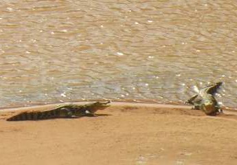 Guelta Matmata