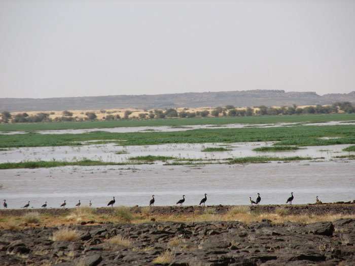 Lac Gabou