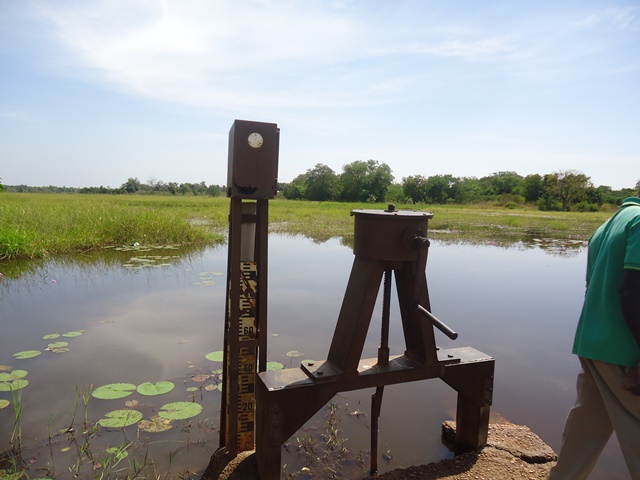 Photo 12 : Piézomètre installé sur la digue du cours d'eau principal