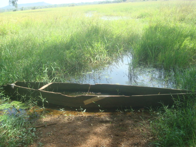 Photo 1 : Engin de pêche sur la mare de la forêt galerie de Léra