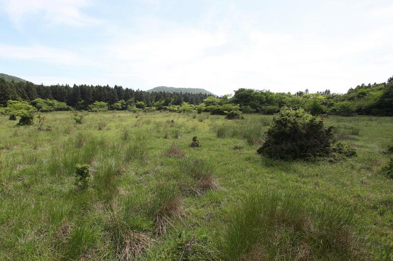 Pasture and forests, southwest from the central watershed