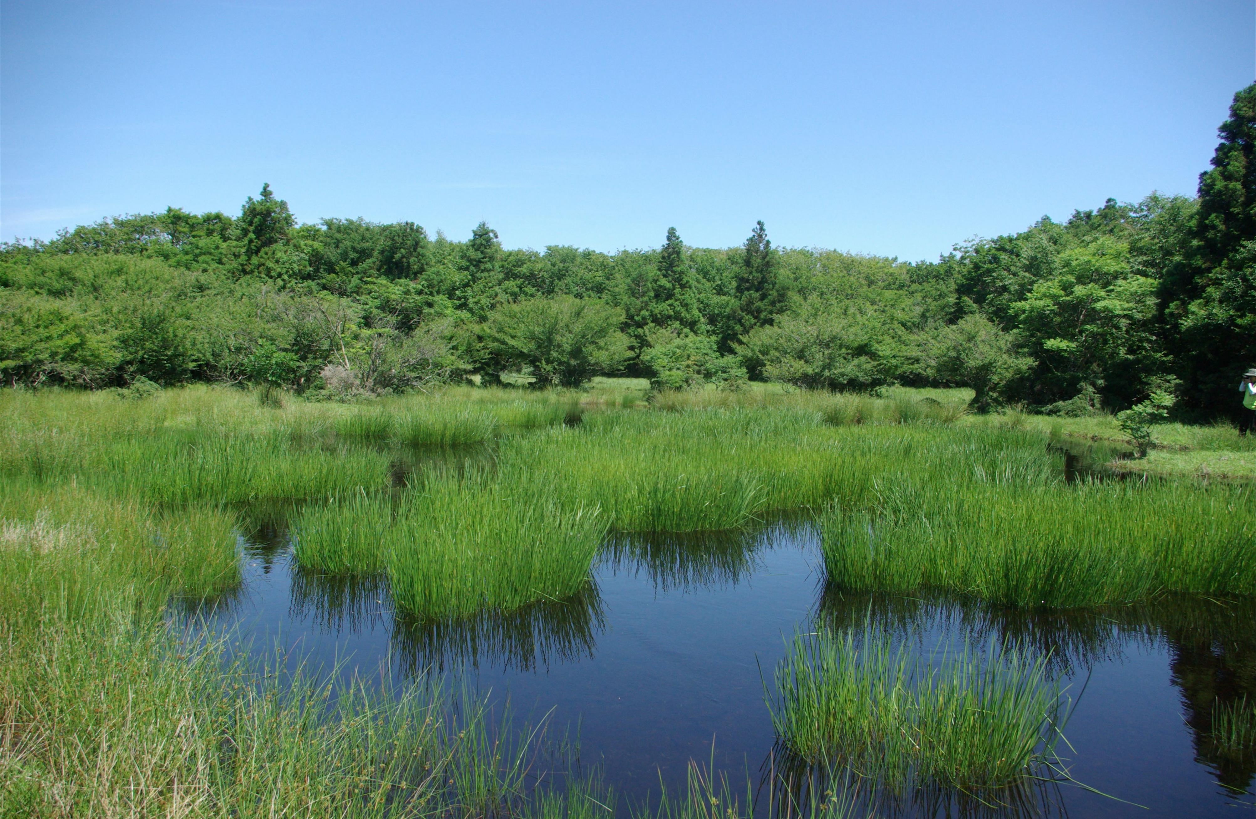 Northern part of the central Watershed, from south to north