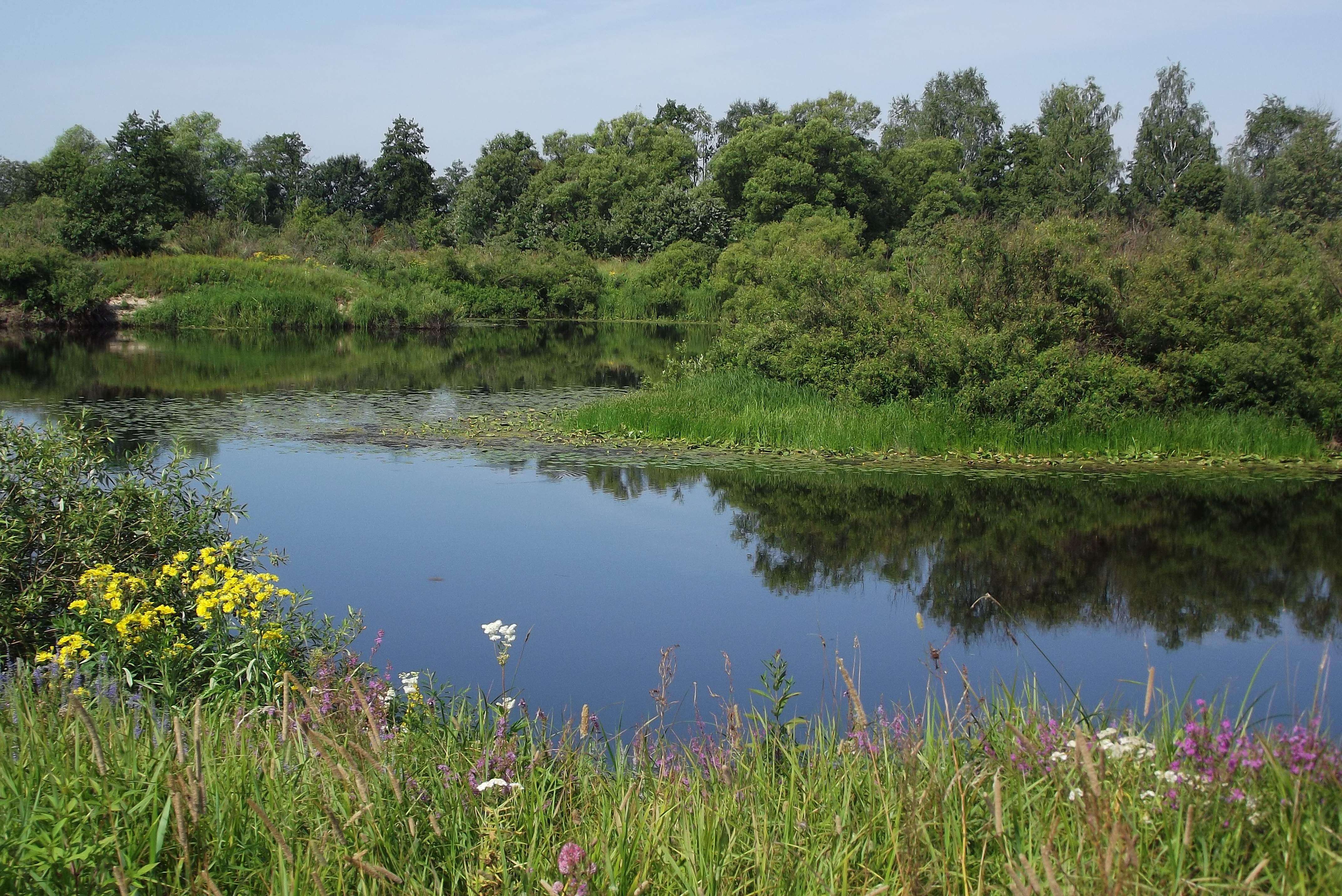 Desna River Floodplain