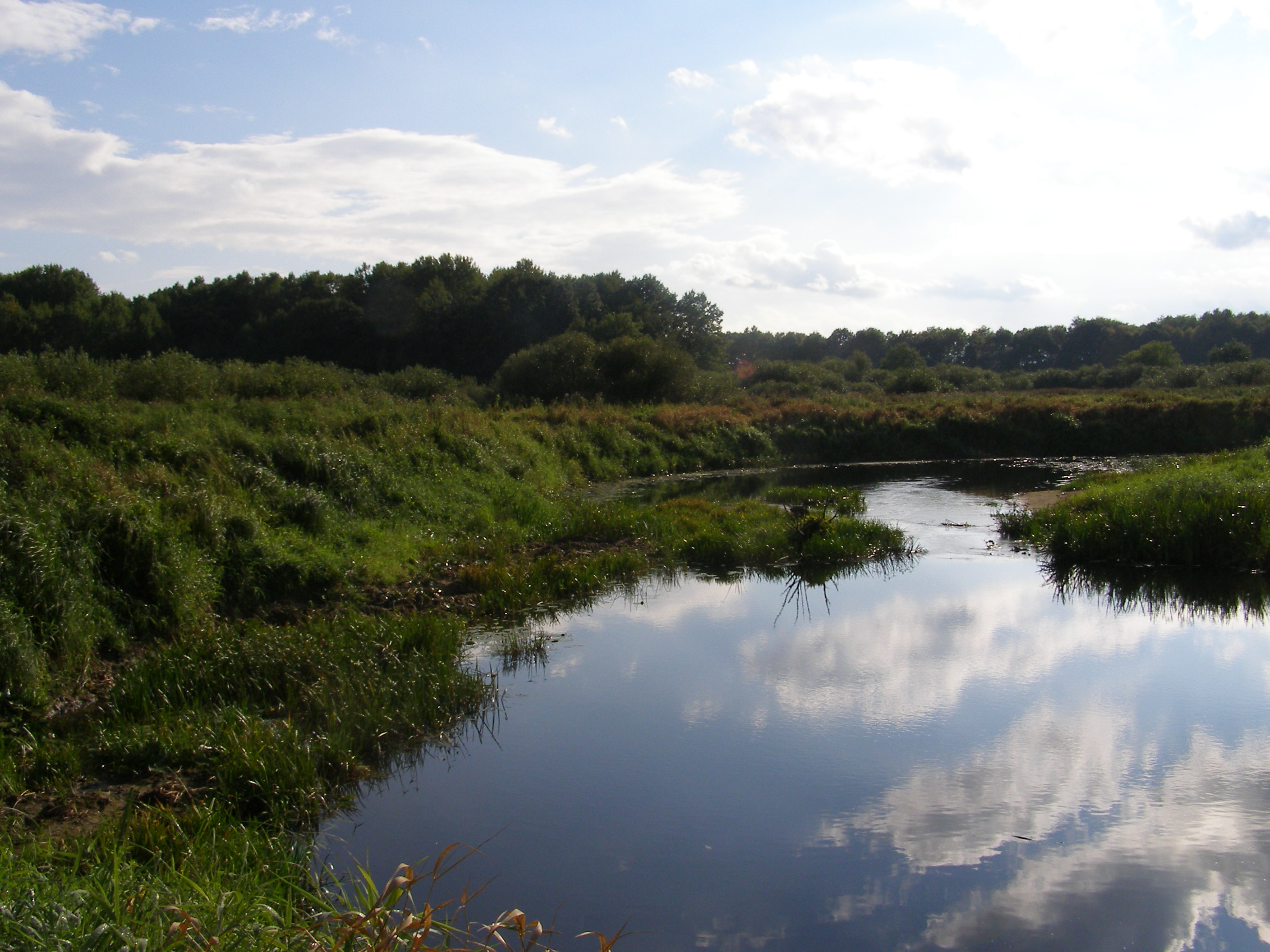 Desna River Floodplain