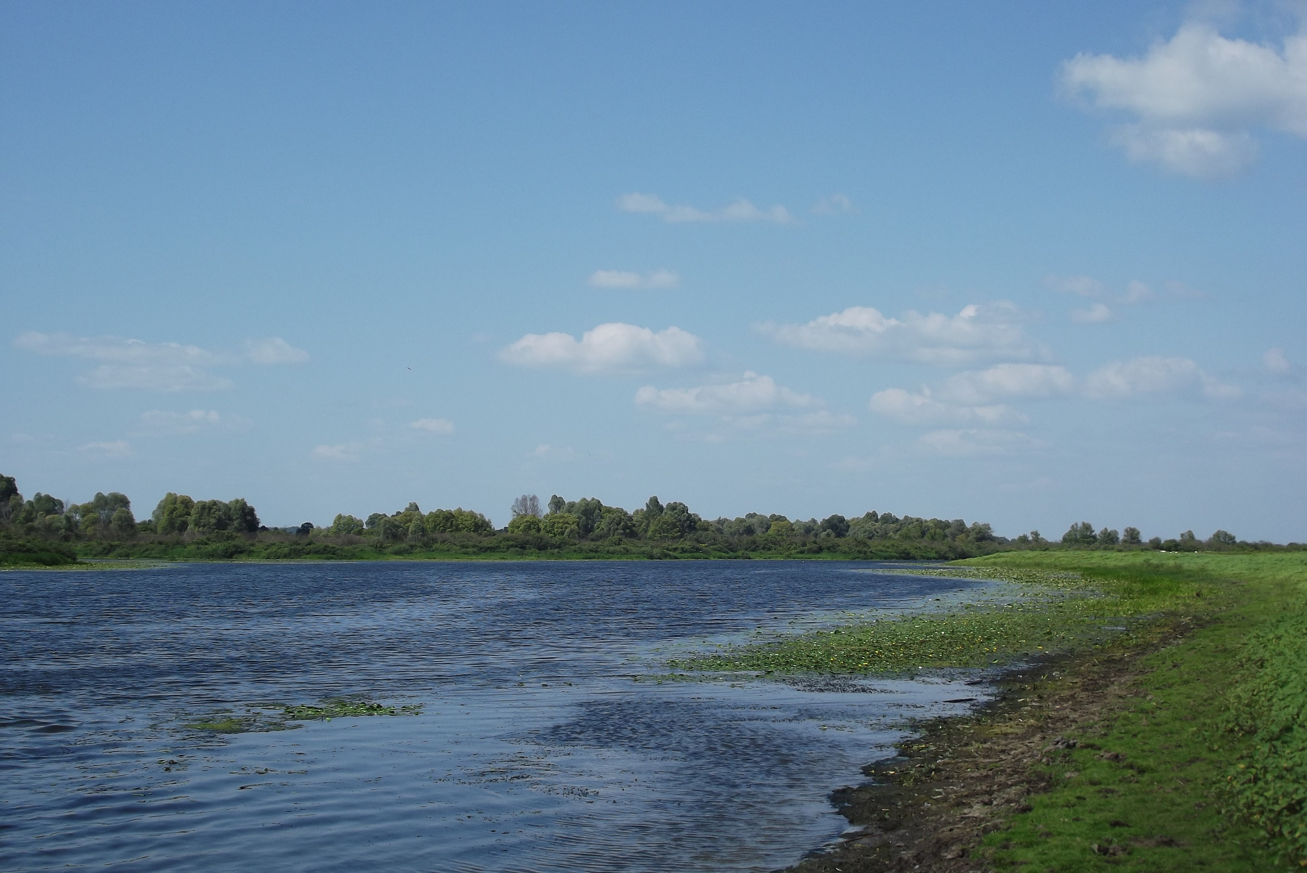 Desna River Floodplain