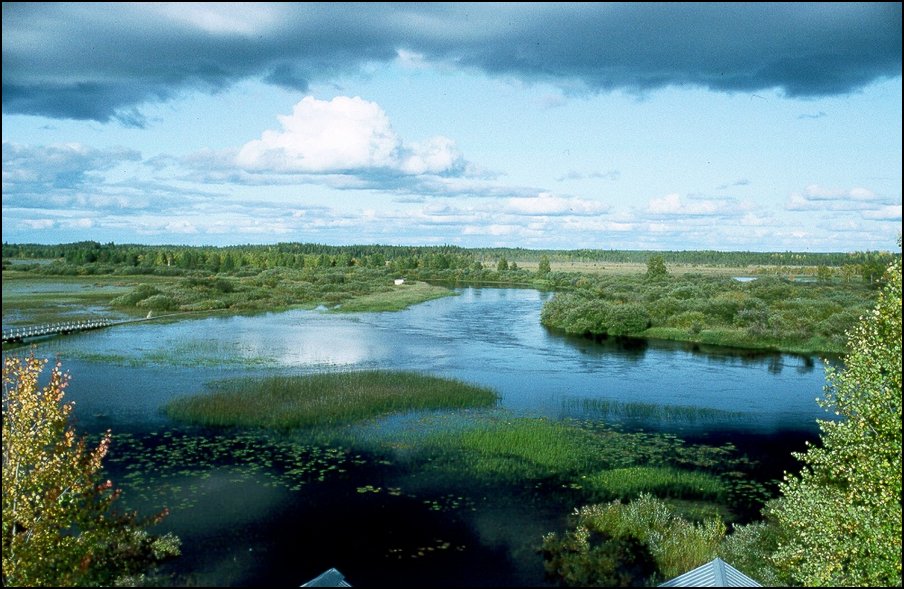 The meandring stream Sikåsån in the site Sikåsvågarna