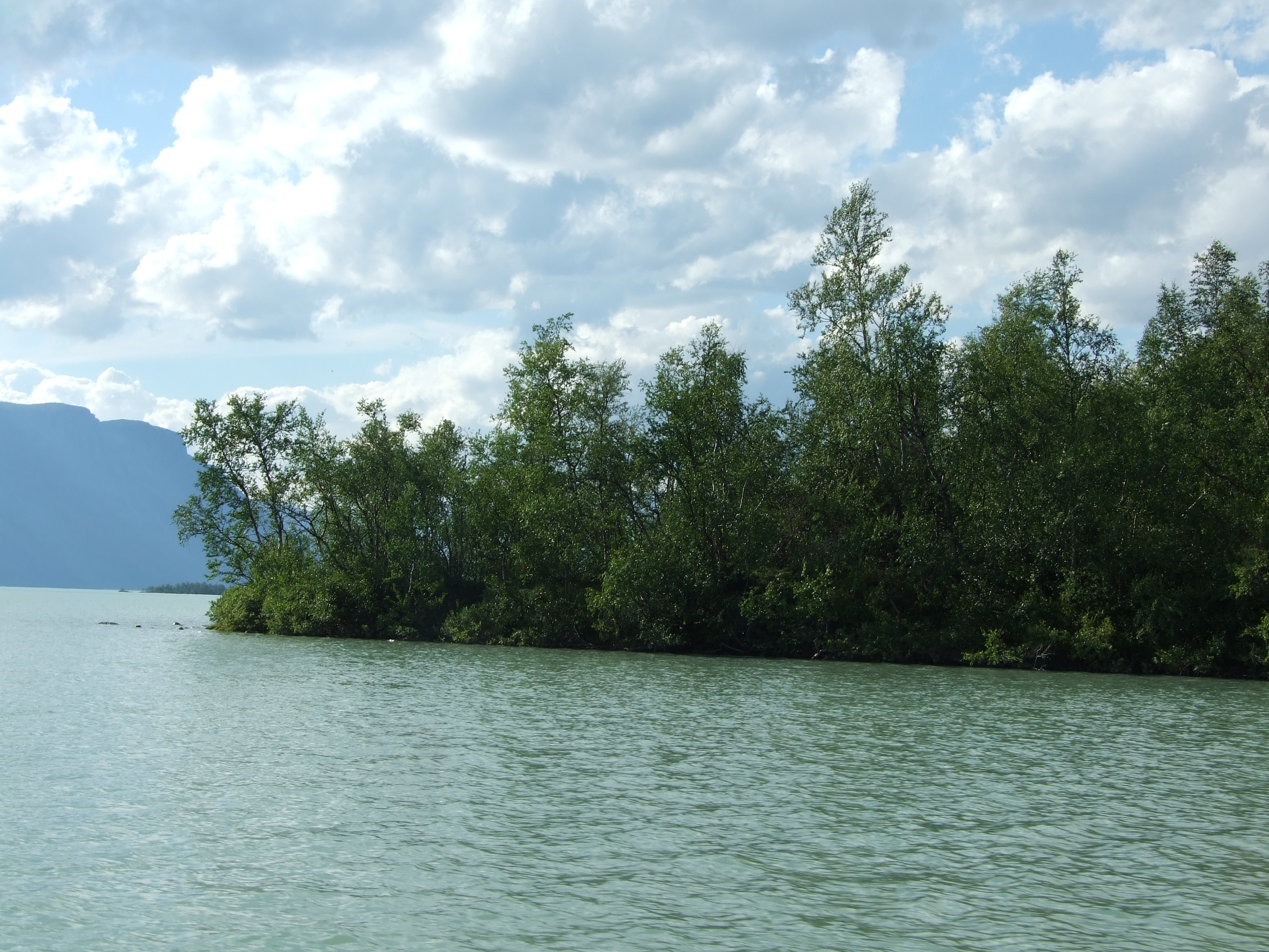 Lake Laitaure with small islets with vegetation like Salix spp. and Betula spp.