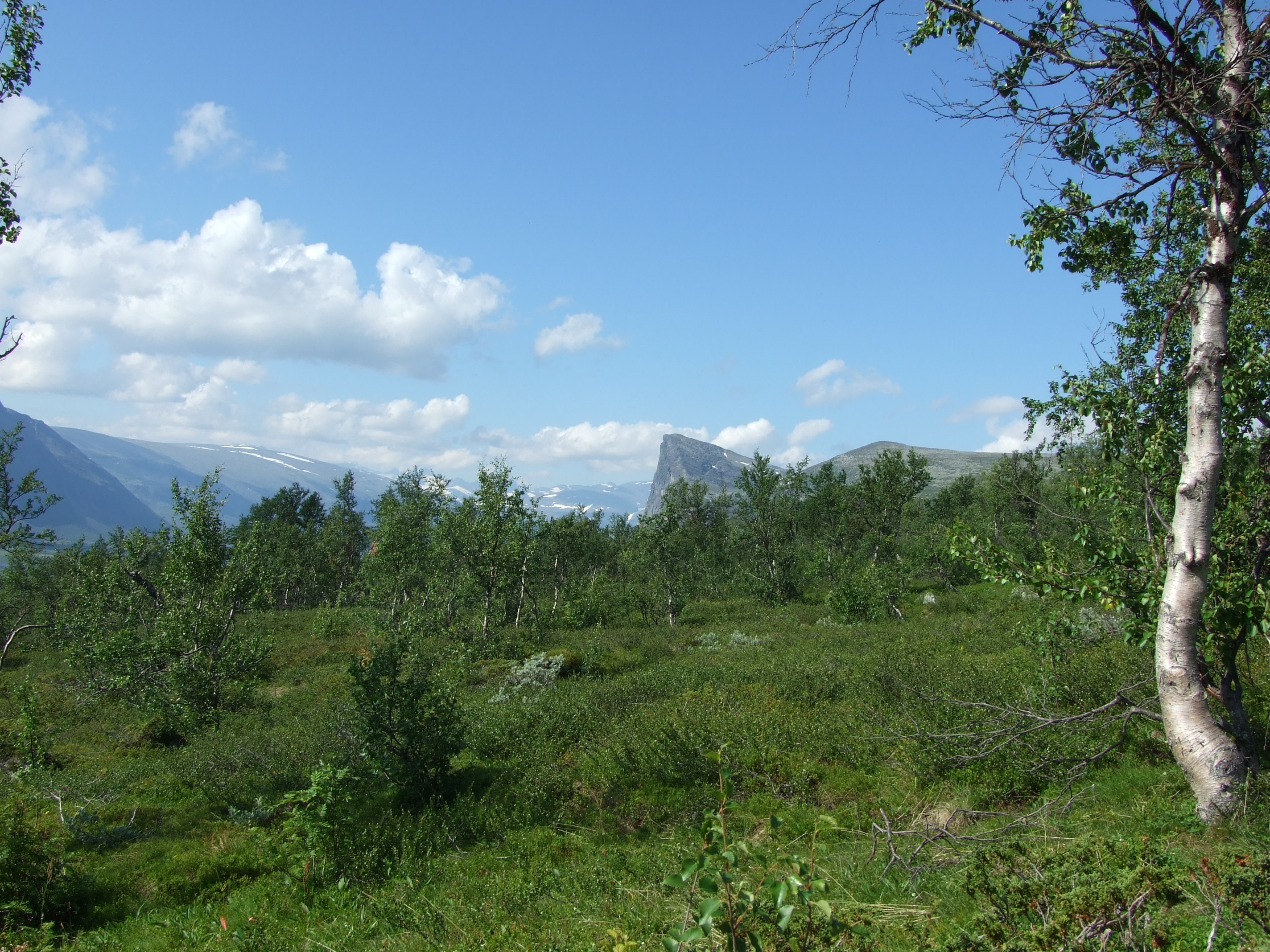 Aktse and the vegetation on the slopes of Njunjes