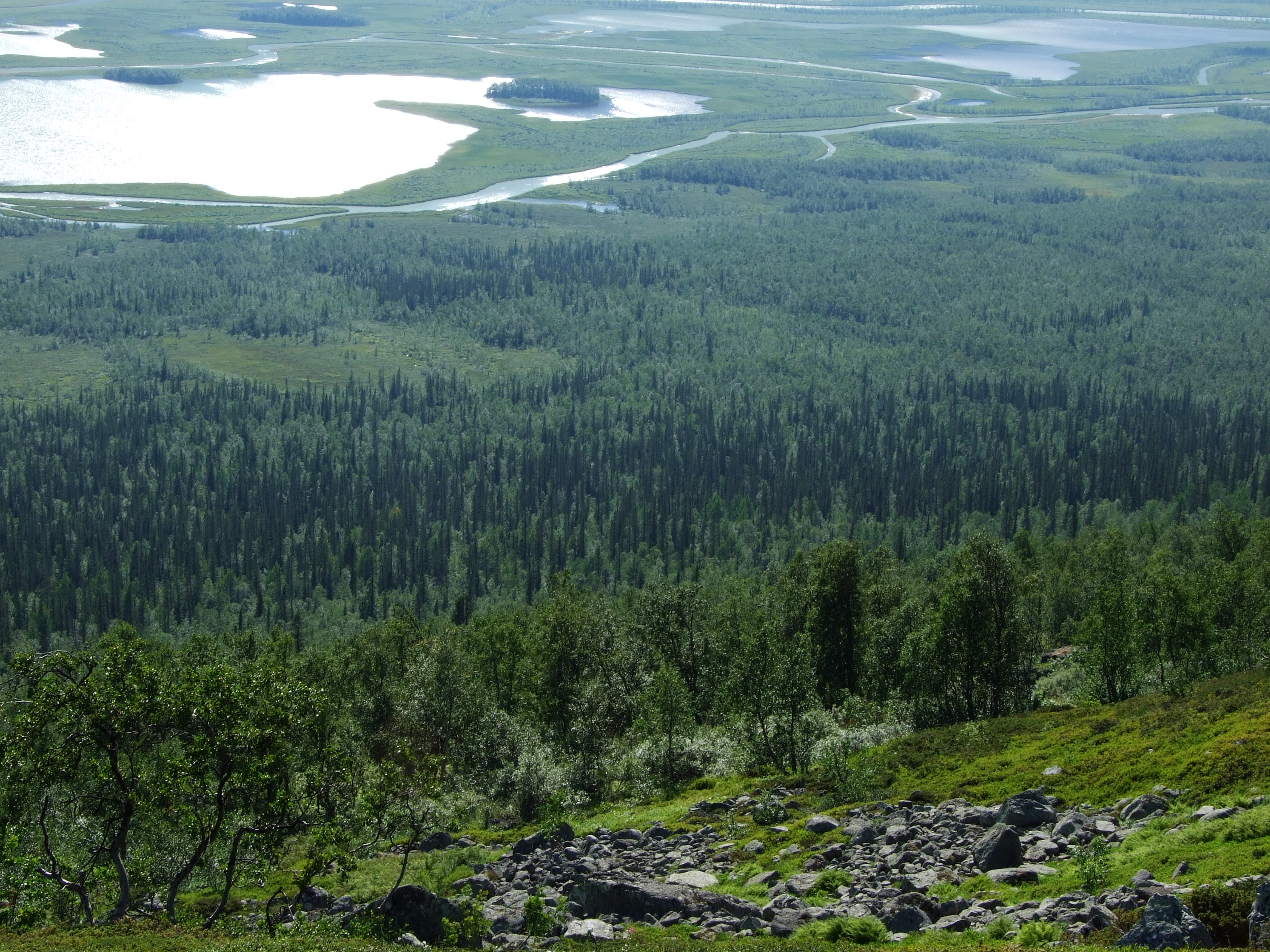 Various vegetation types on the slopes down to the delta