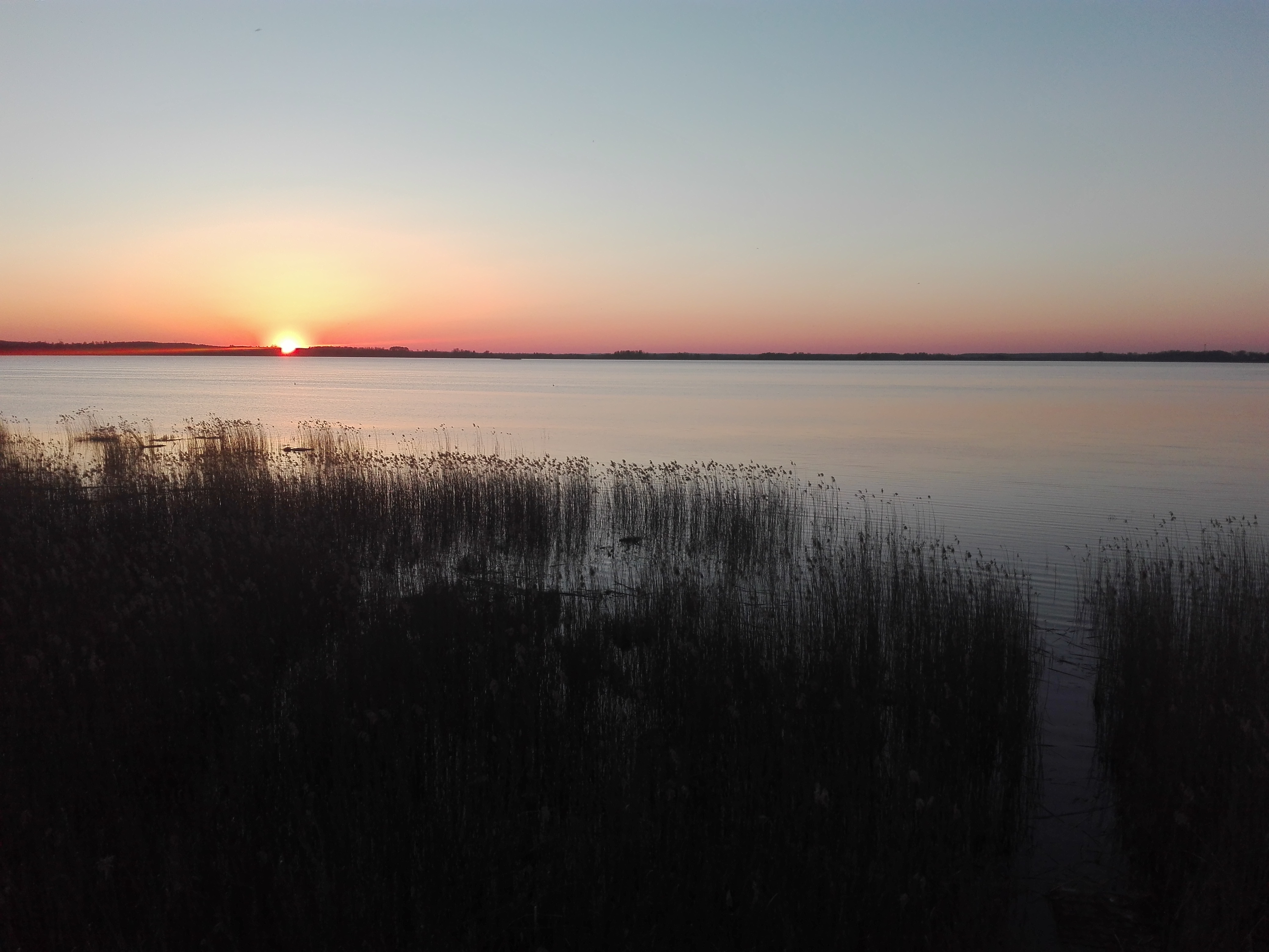 Sunset at the Łuknajno lake