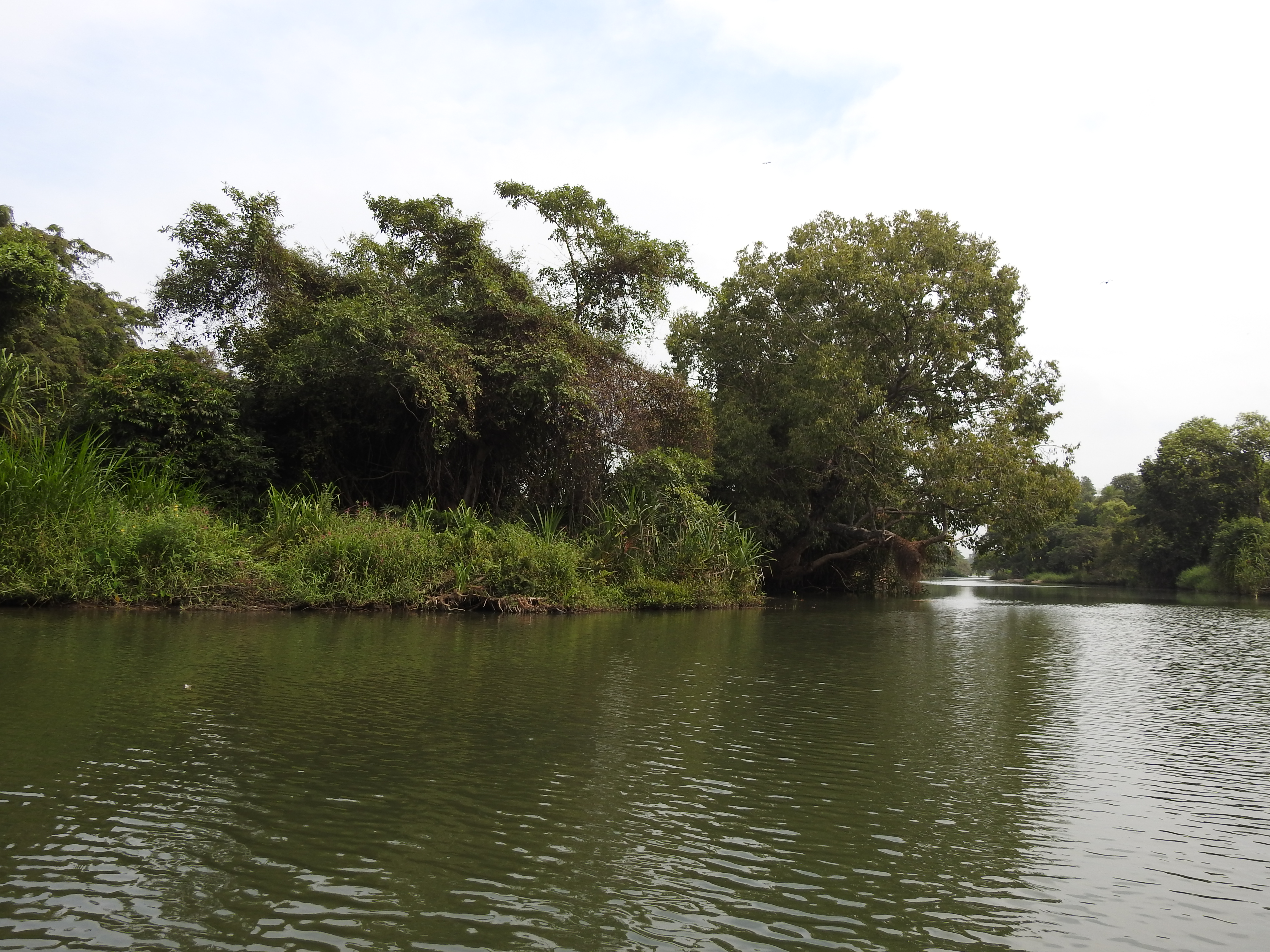 Ranganathittu Habitat