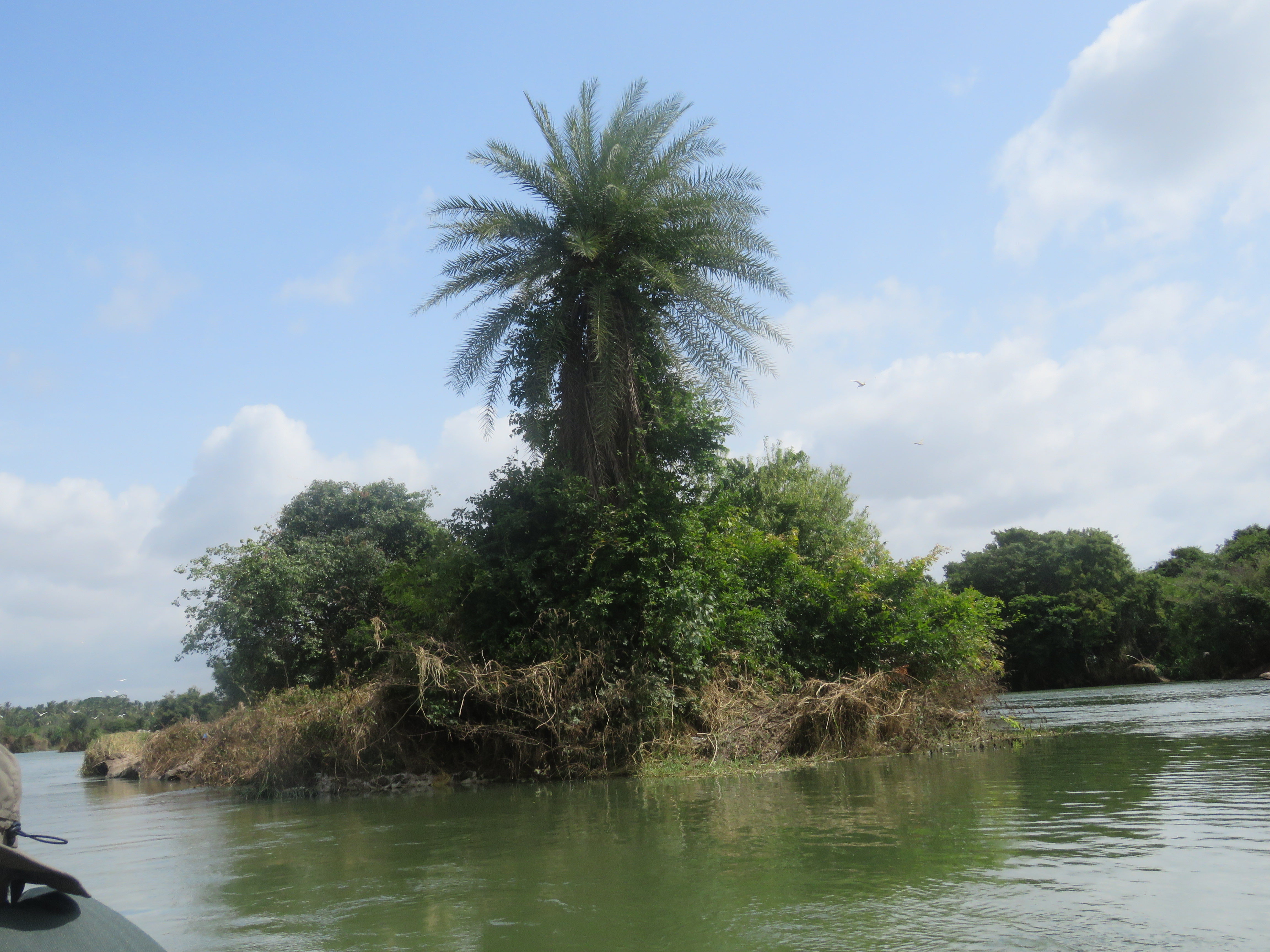 Ranganathittu Habitat