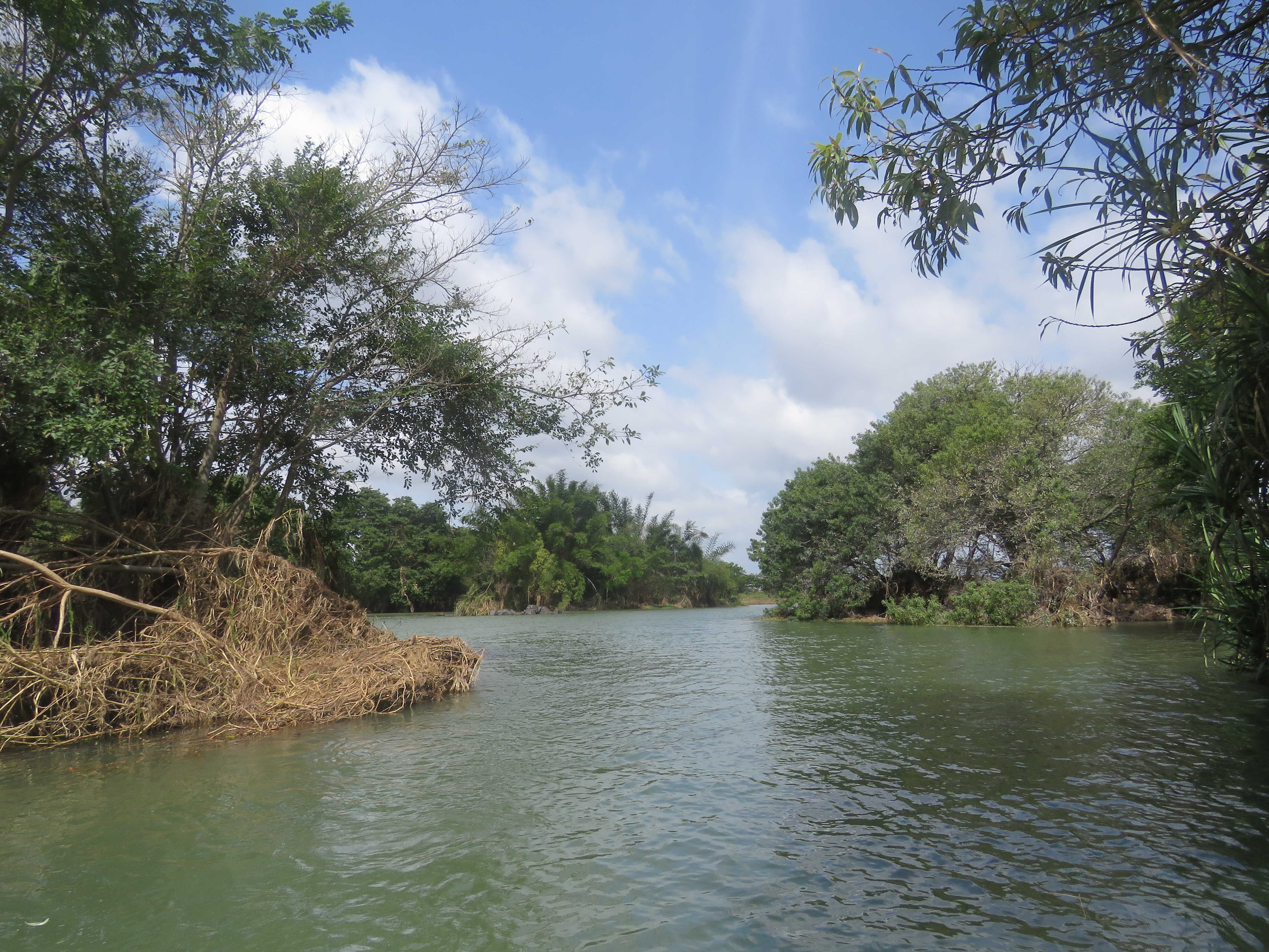 Ranganathittu Habitat