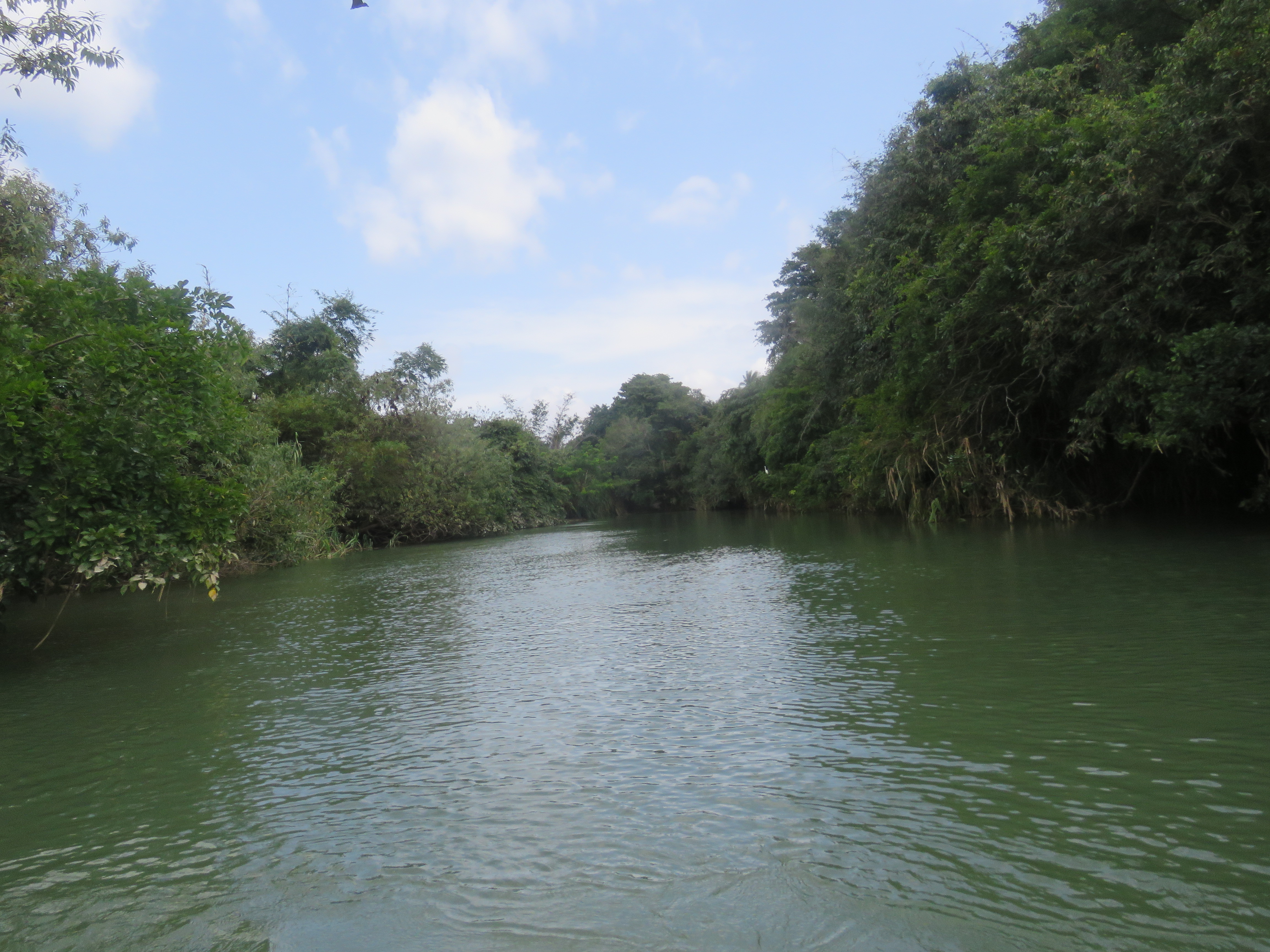 Ranganathittu Habitat