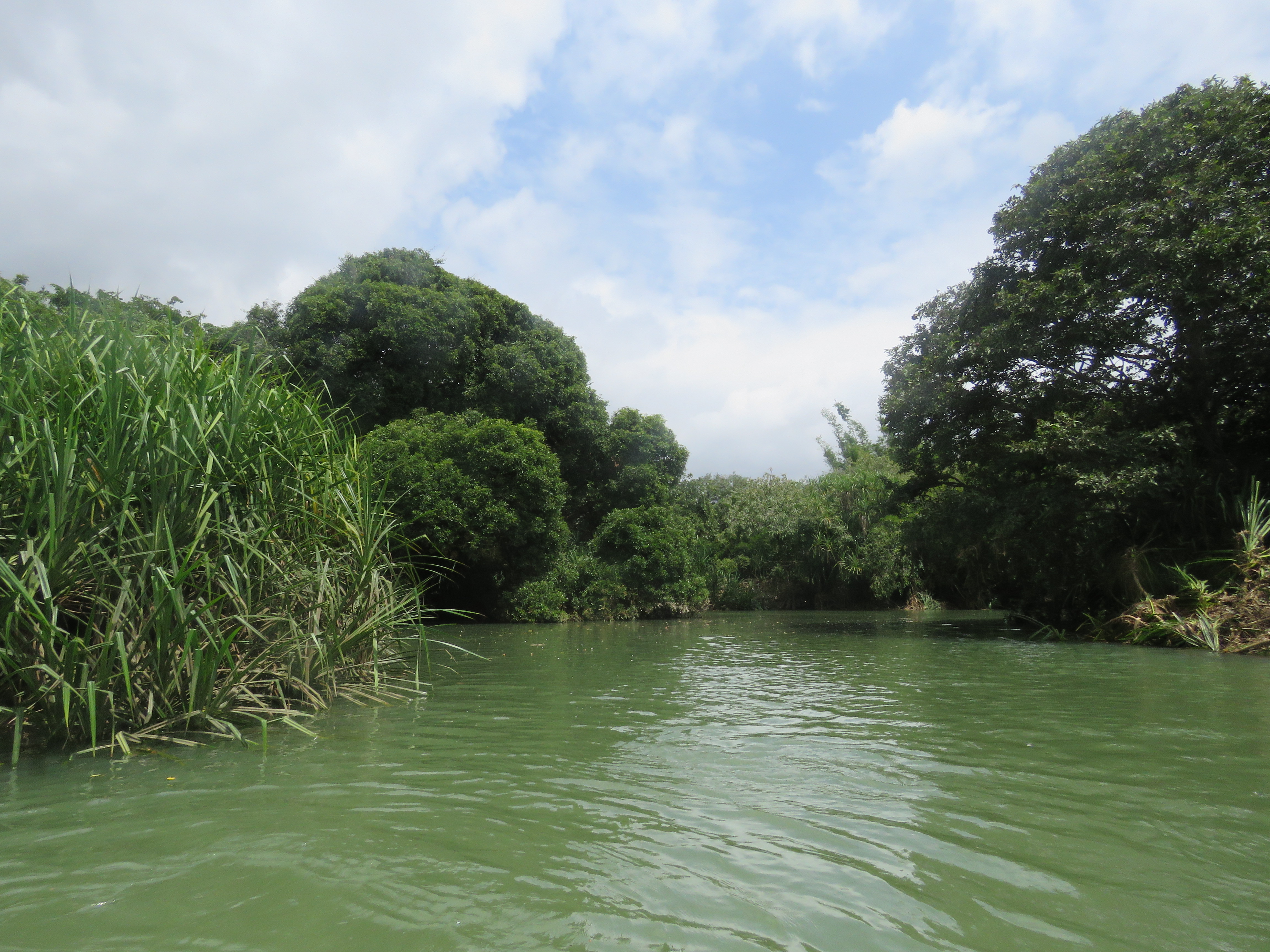 Ranganathittu Habitat