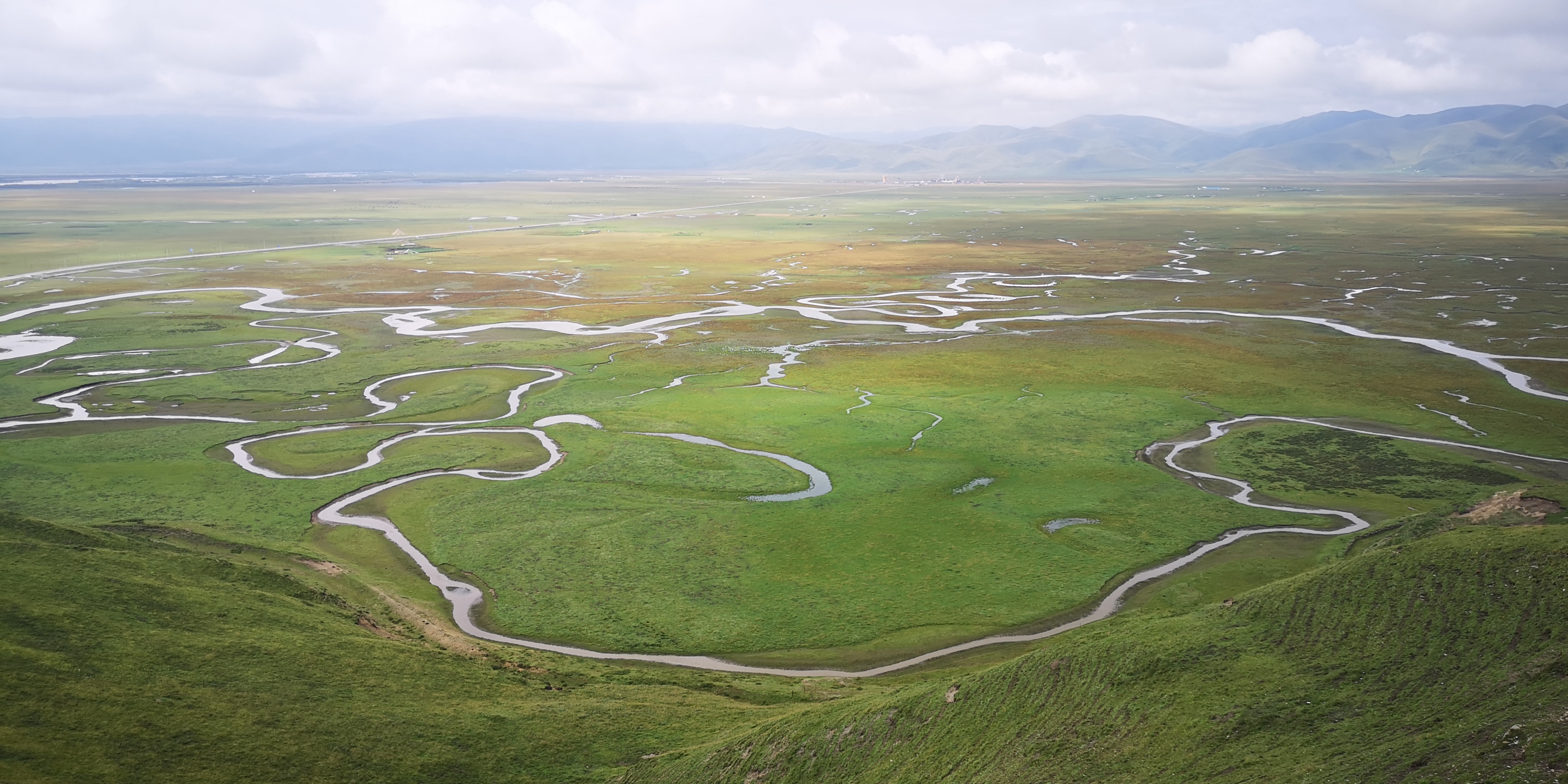 Peatland marshes