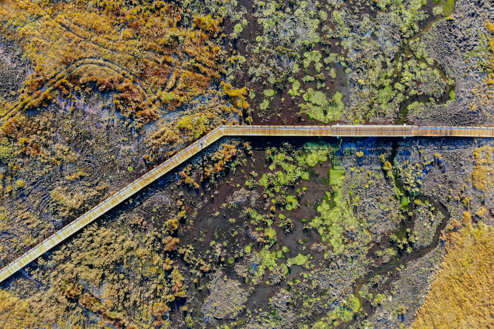 Marais de Vaux et son sentier sur pilotis