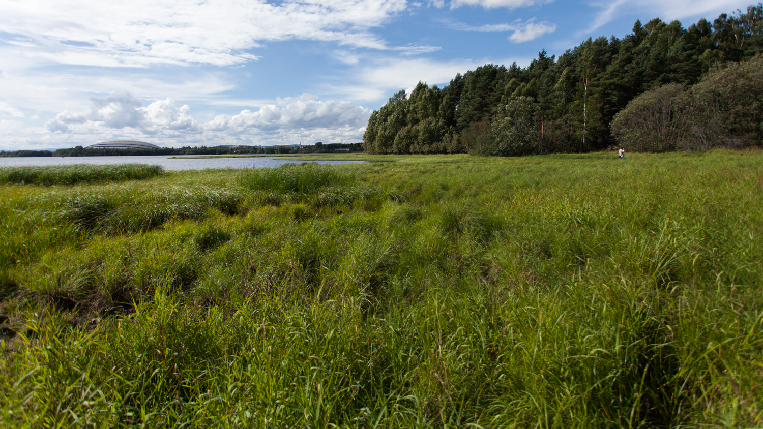 Åkersvika