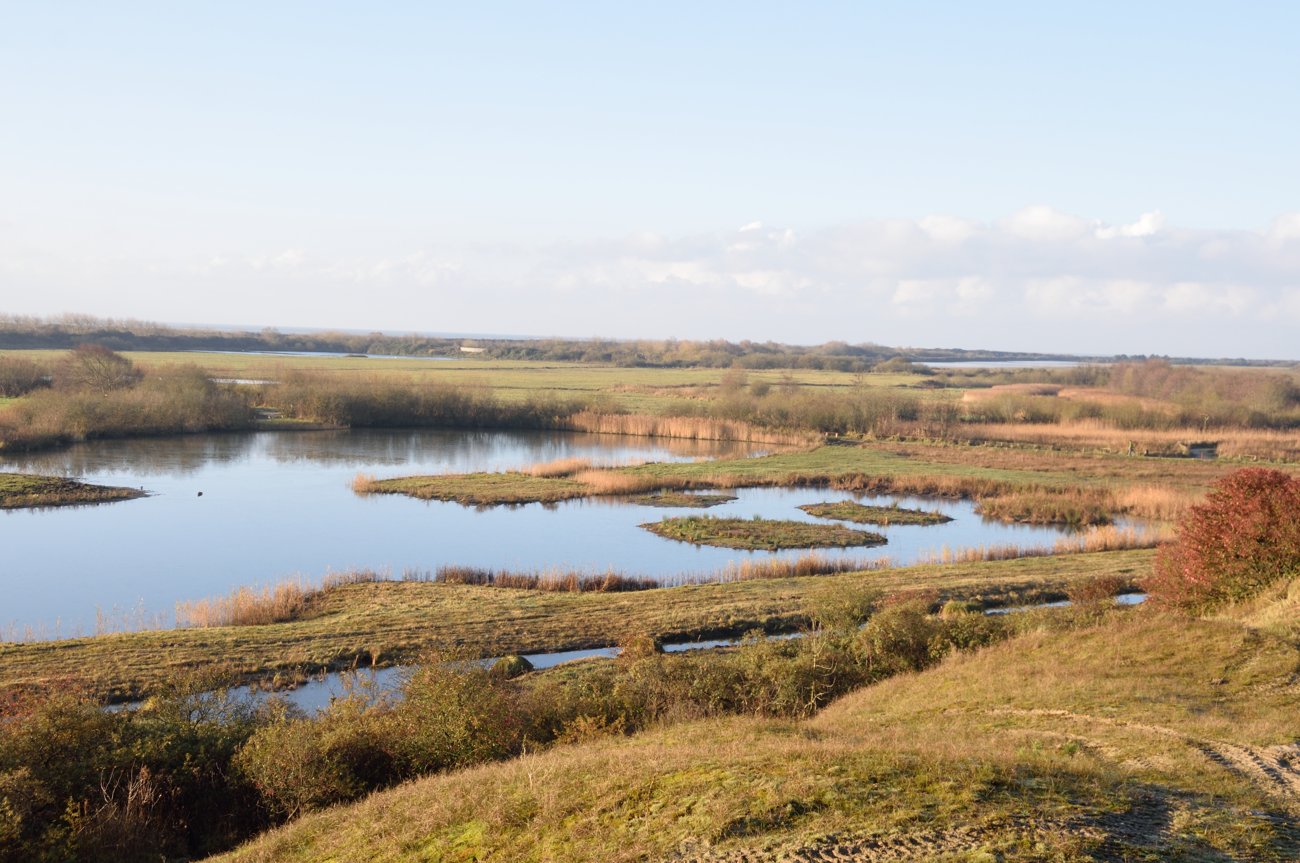 Vue du Parc Ornithologique du Marquenterre