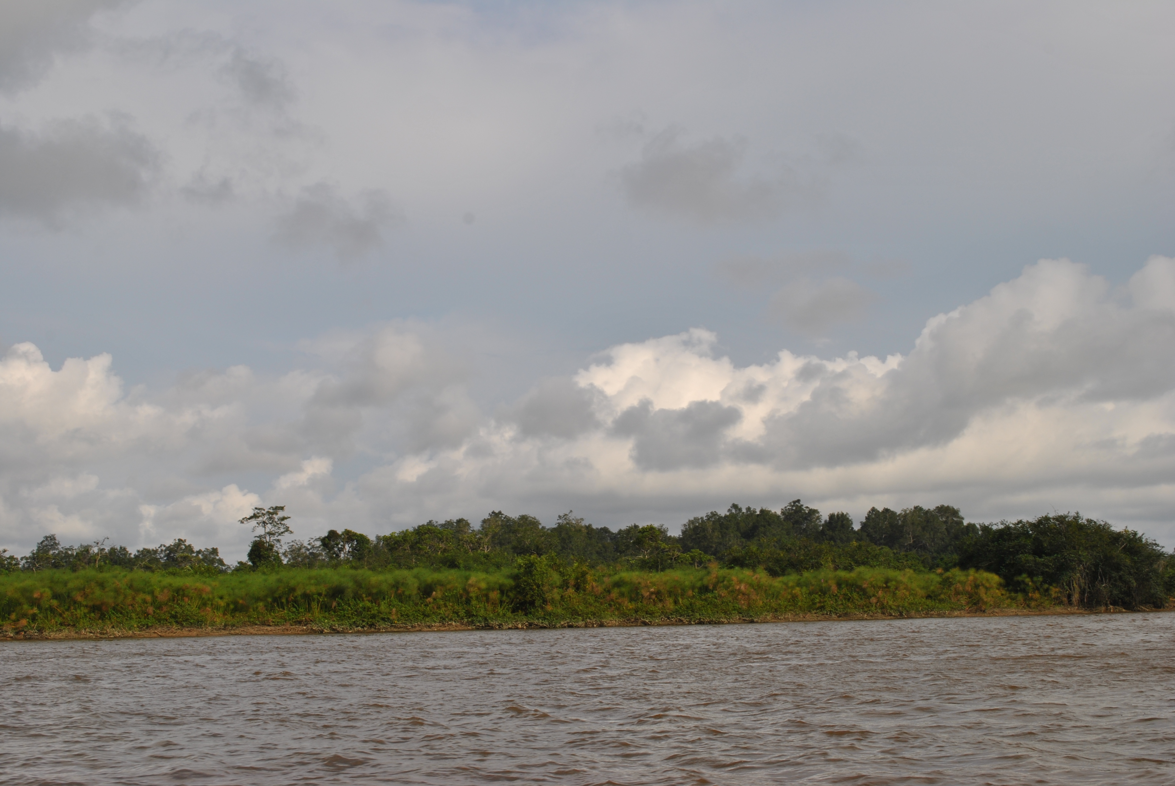 Navigation sur le fleuve Nyanga