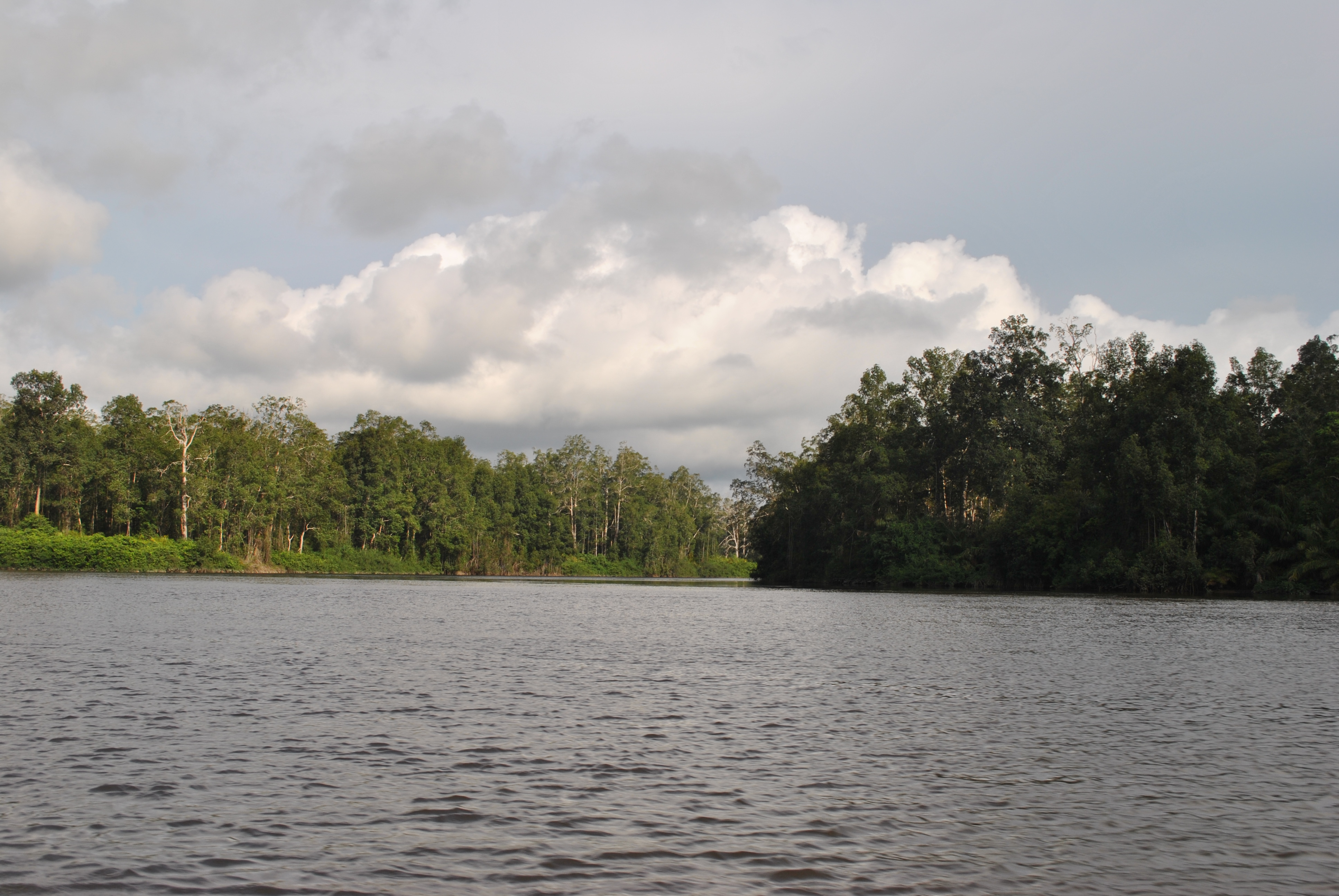 Chenal sur le fleuve Nyanga