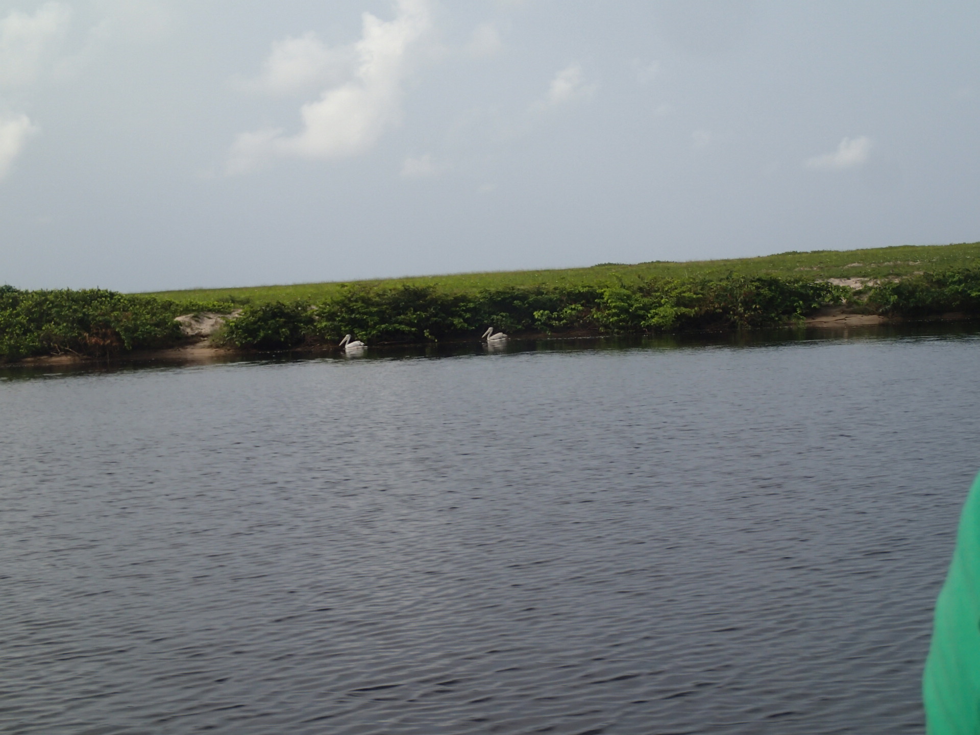 Embouchure de Ndougou, site des pélicans