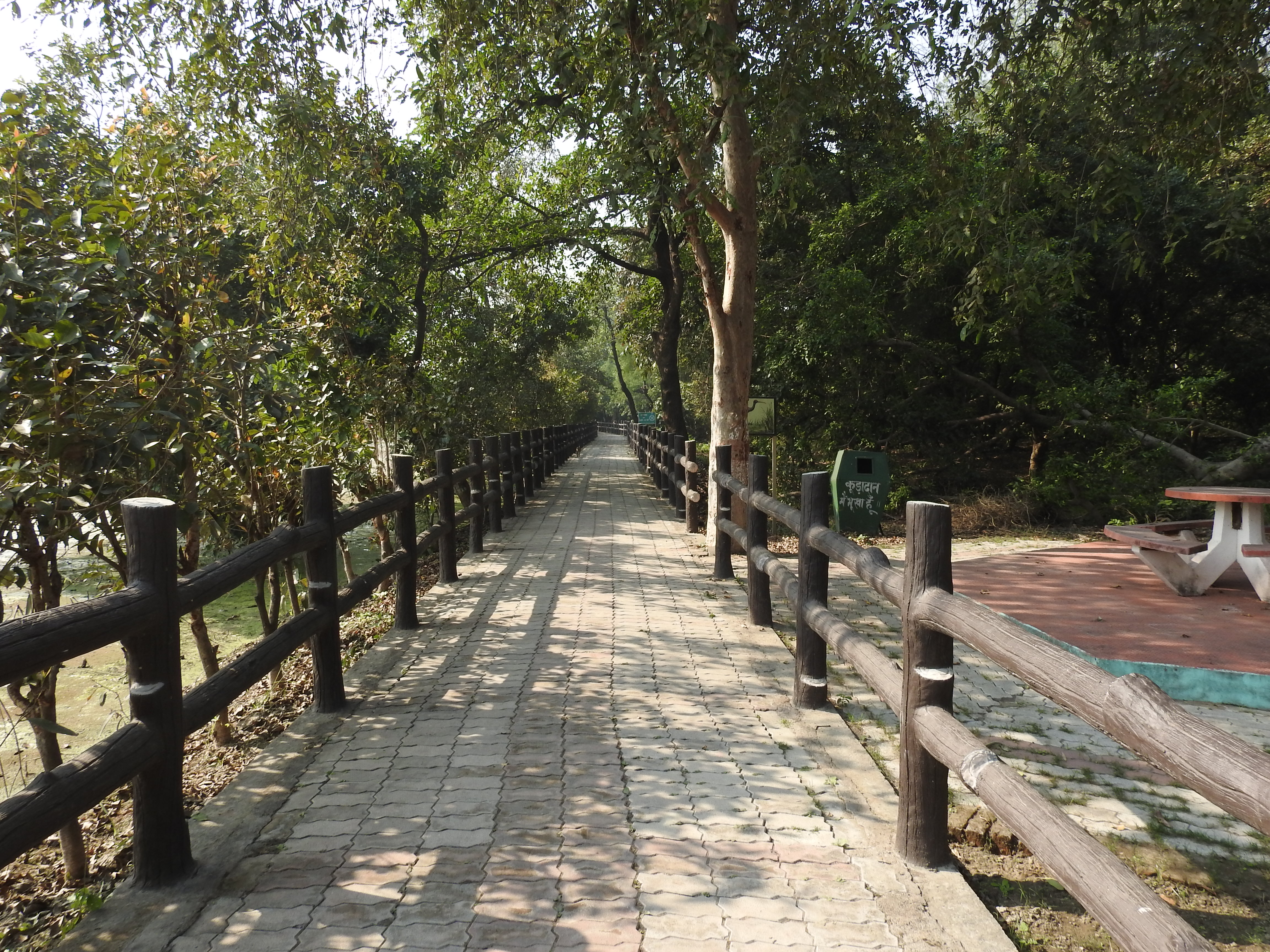 Cycle Track for visitors in Nawabganj Wetland.