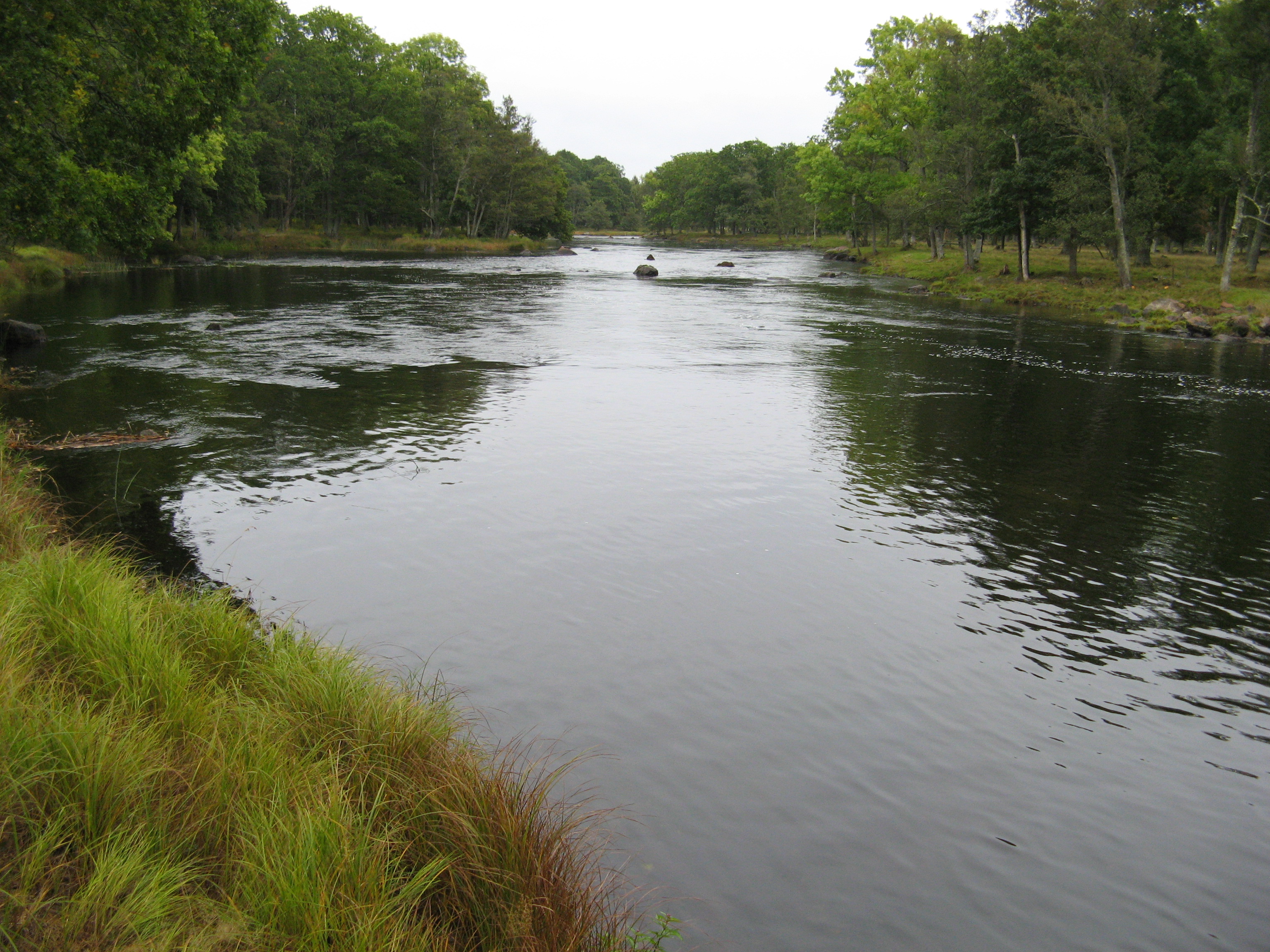 Slow water course of Emån, downstream